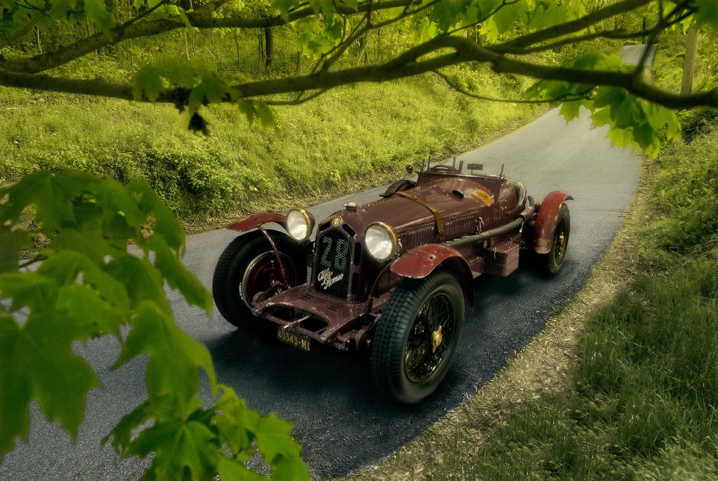1alfa__romeo_in_summer_.jpg