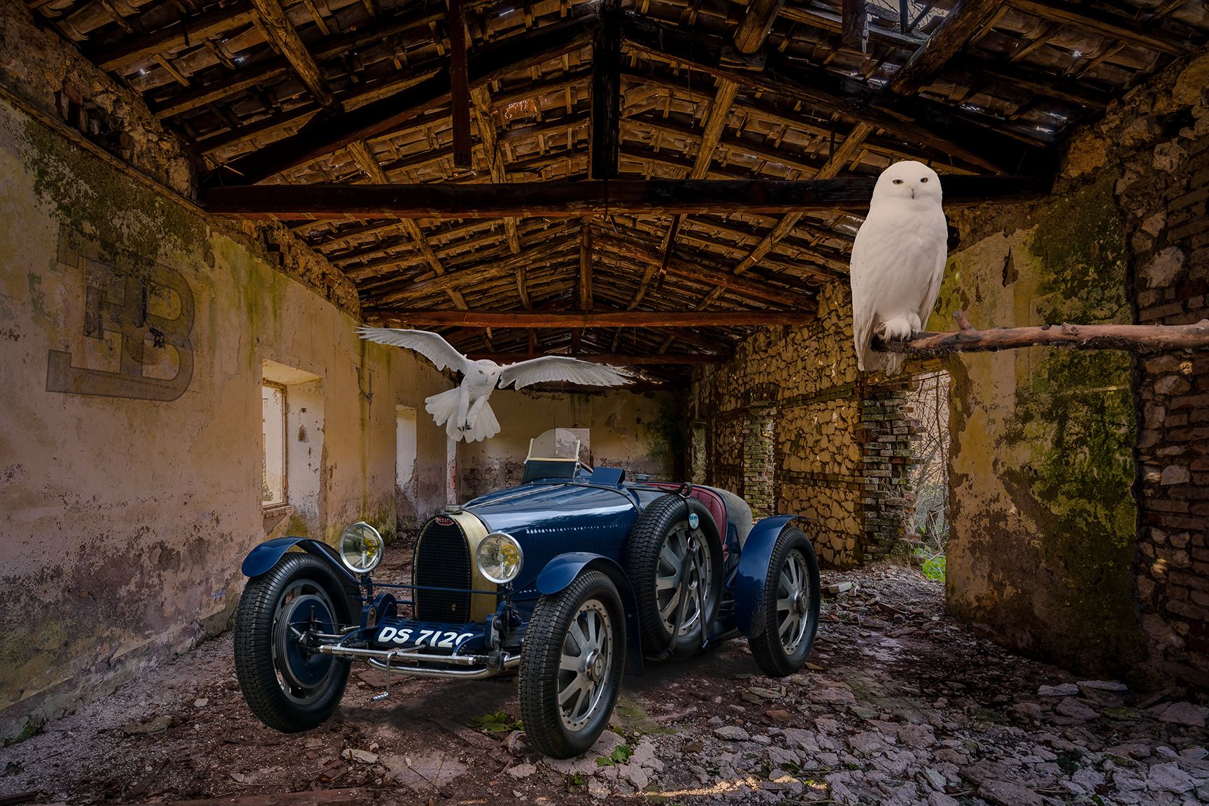 Barn find Bugatti & birds copy 2.jpg