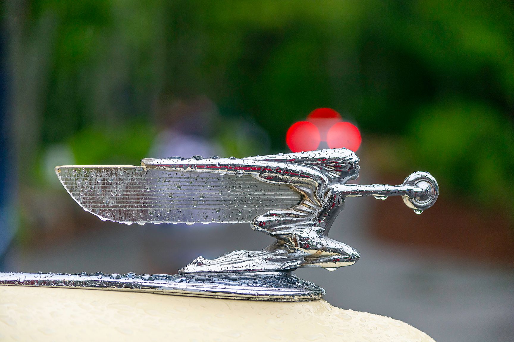 2018 NH1093 copy.jpg