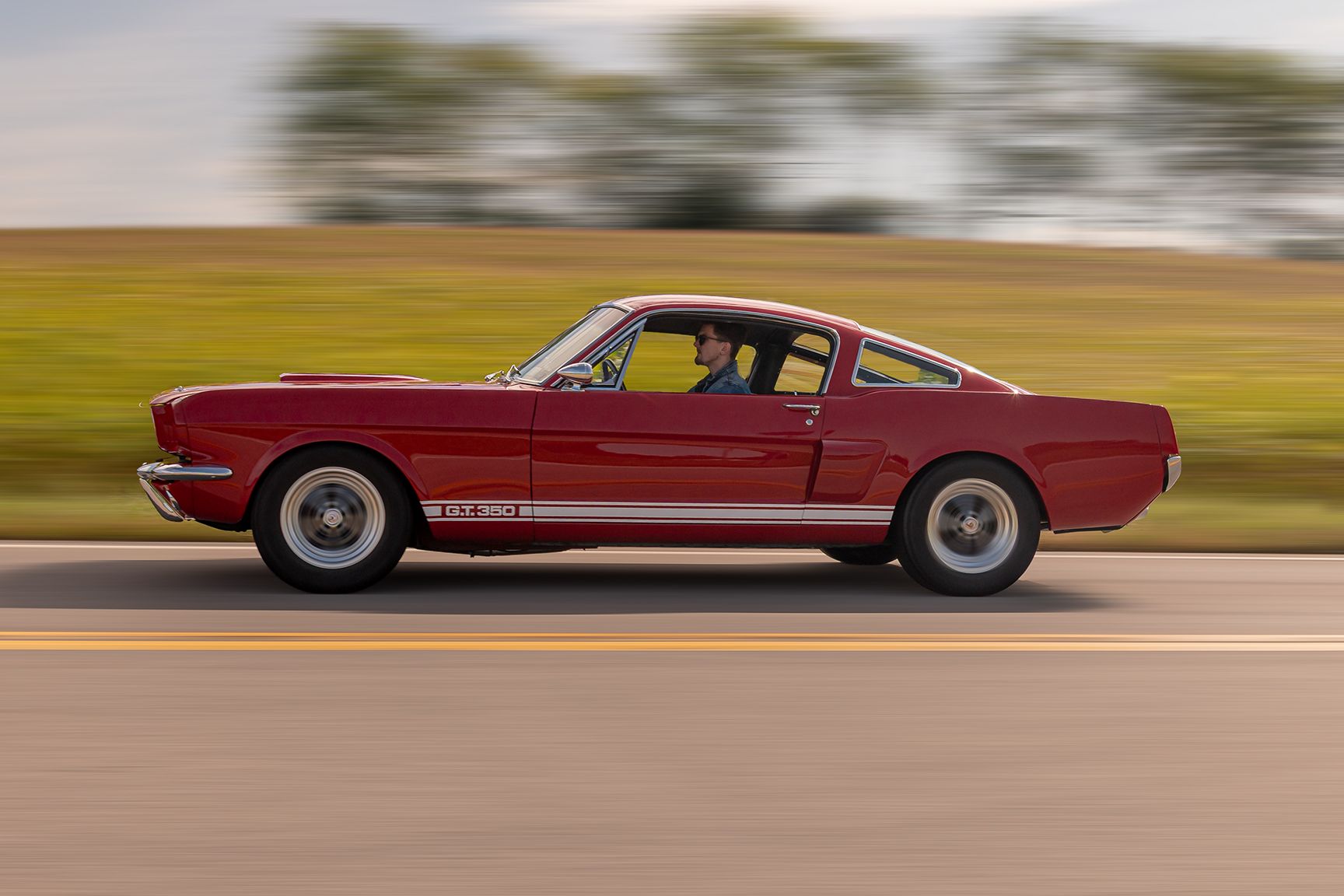 GT350 Mustang007.jpg