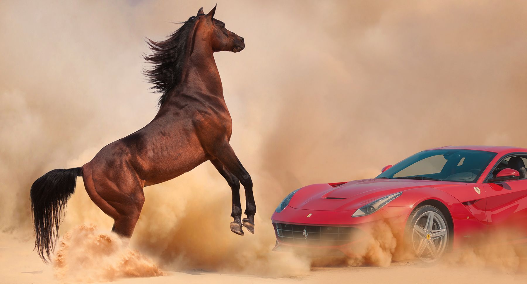 1horse___ferrari.jpg