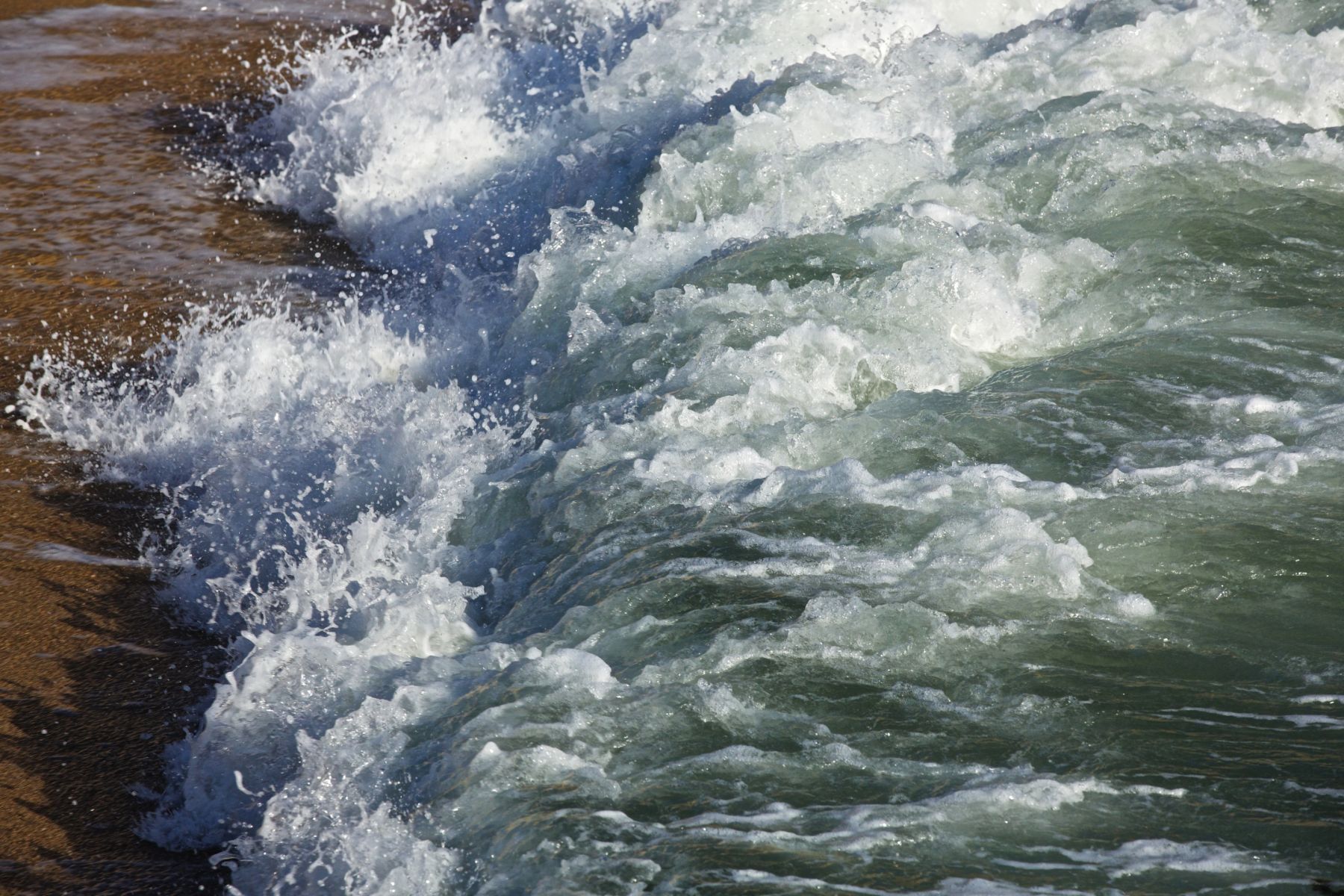 1temperamental9_1274