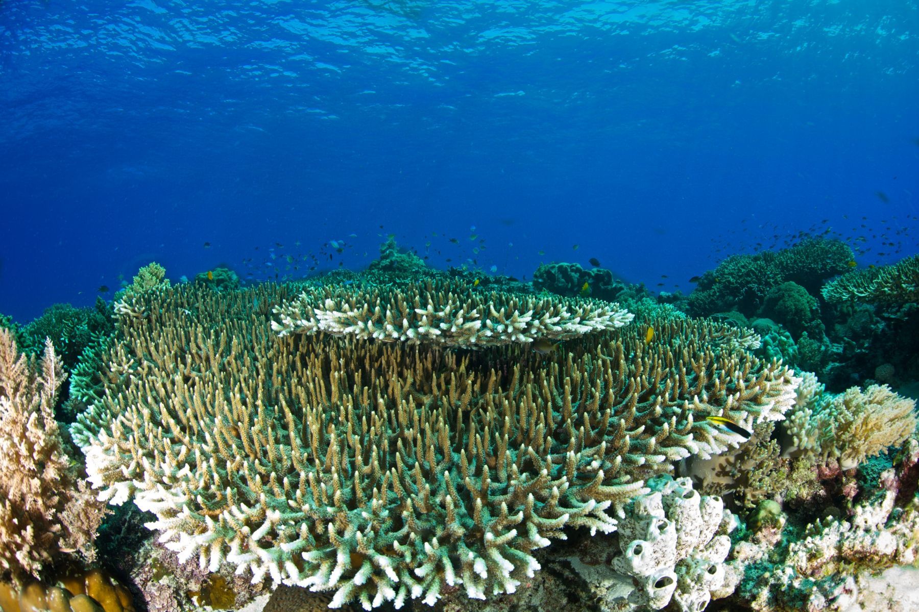 1scenes_from_below_series11_911