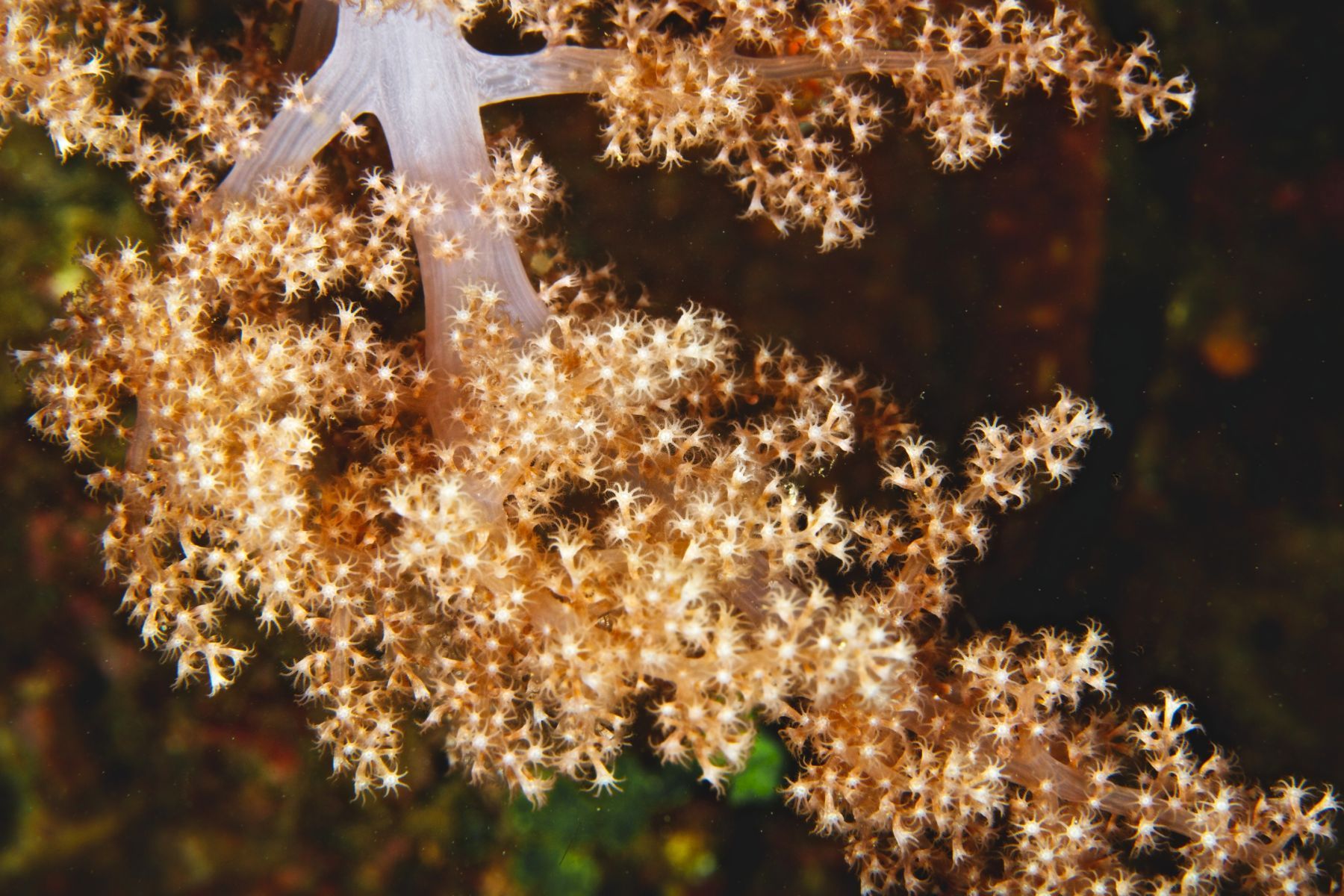 1abstractions_in_the_deep9_984