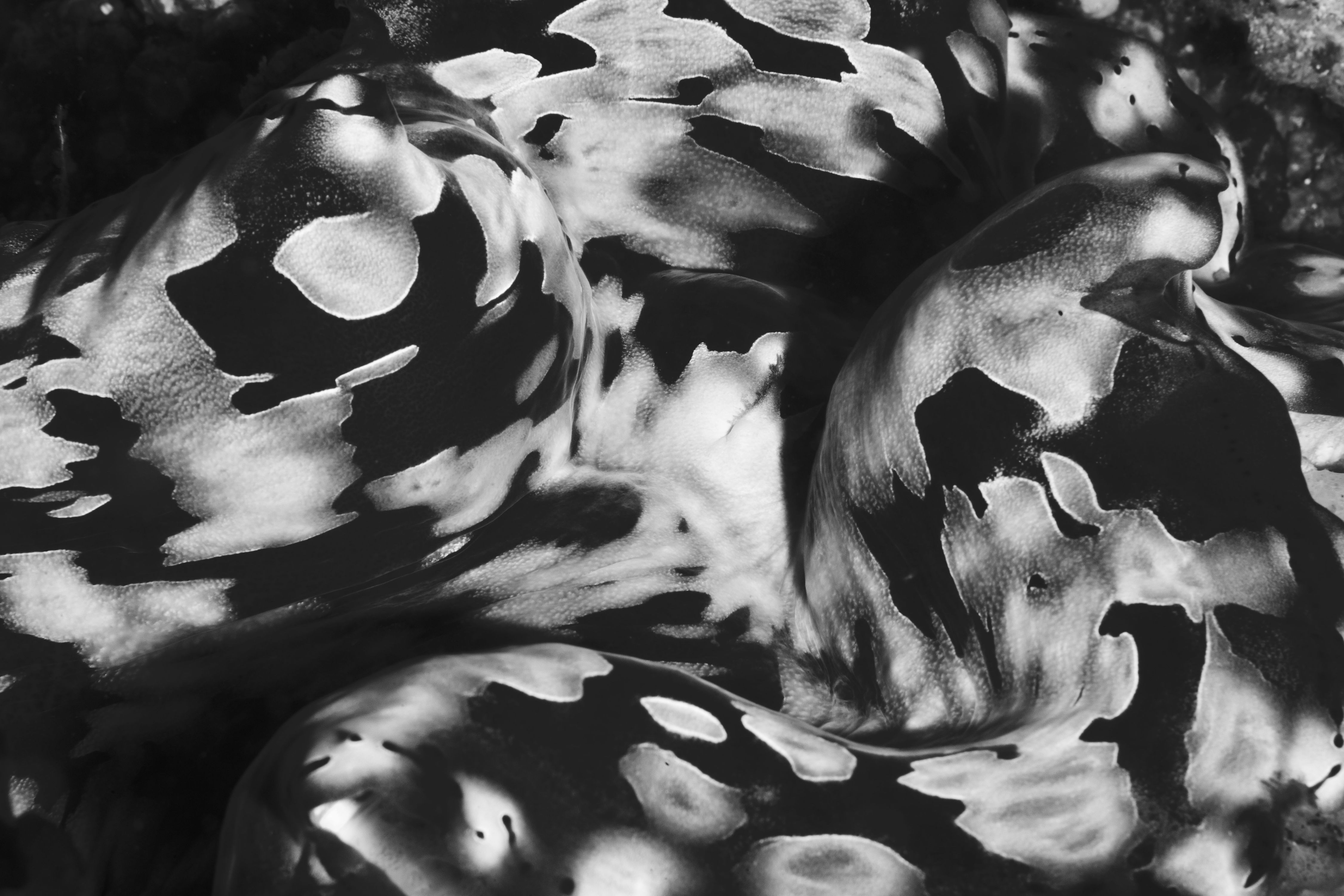 Enticing10 (1 of 1).jpg