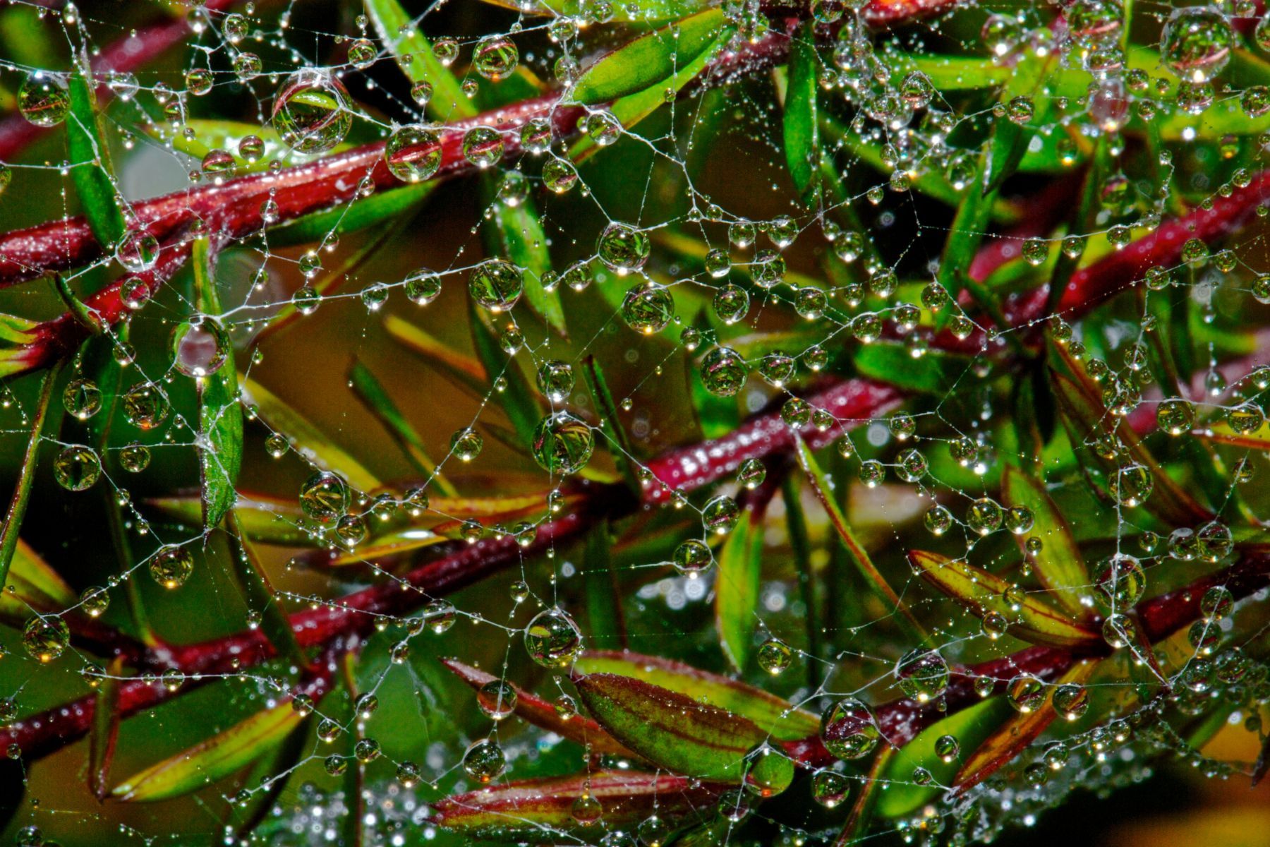 1in_the_abstract9_814