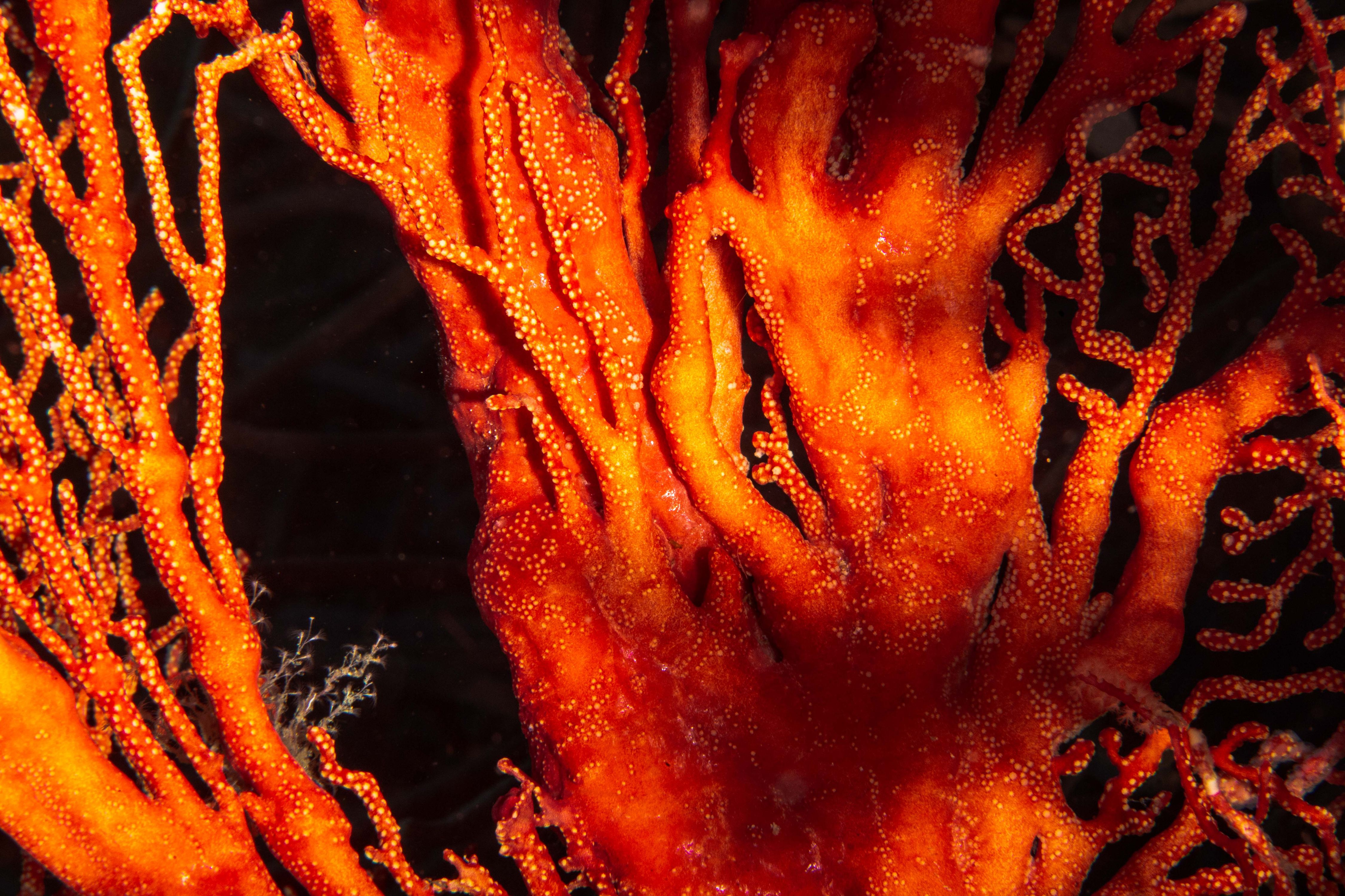 Secluded10 (1 of 1).jpg