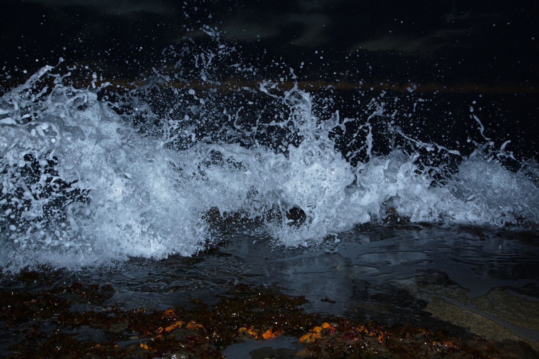 1into_twilight12_1249