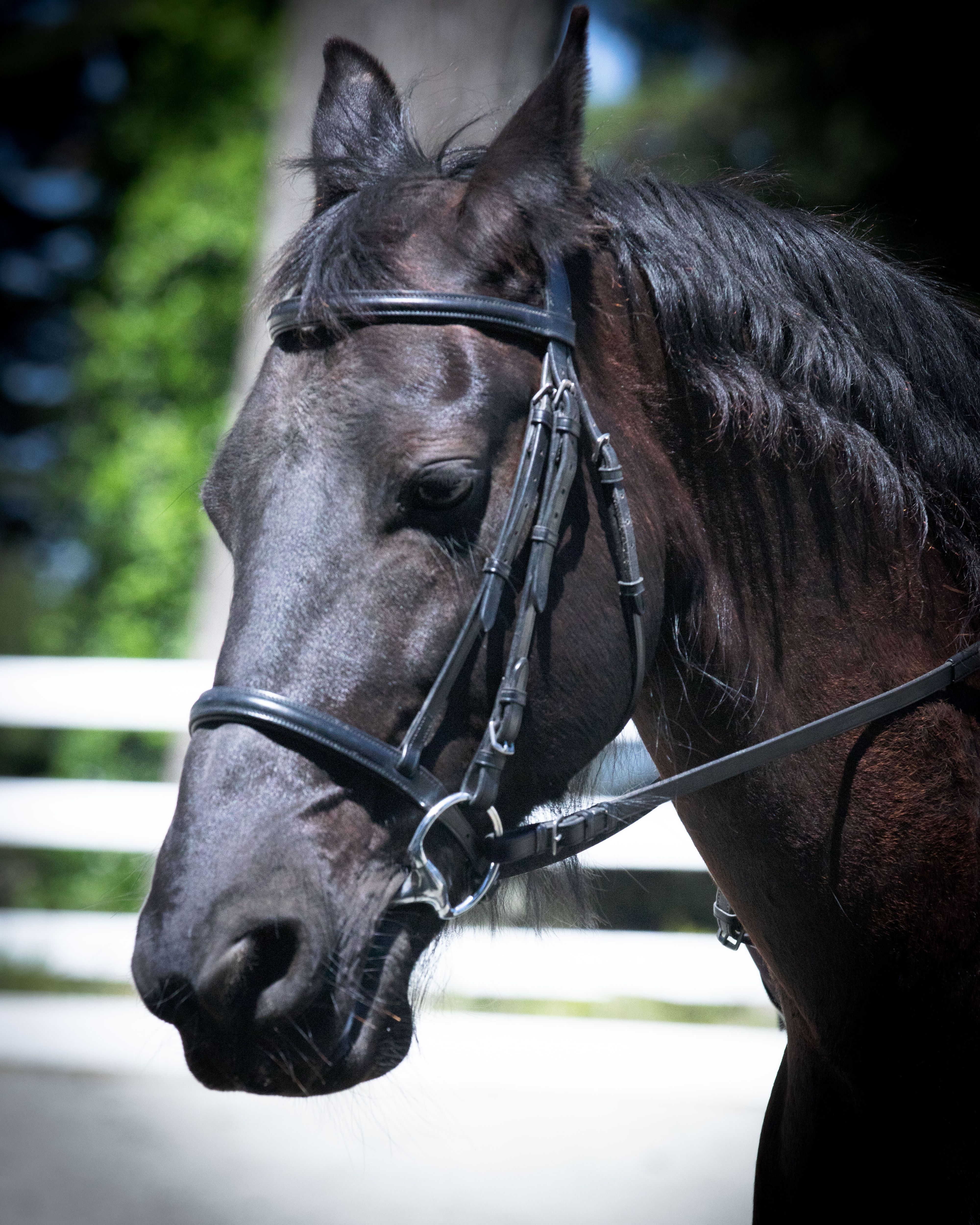 Wild Child20 (1 of 1).jpg