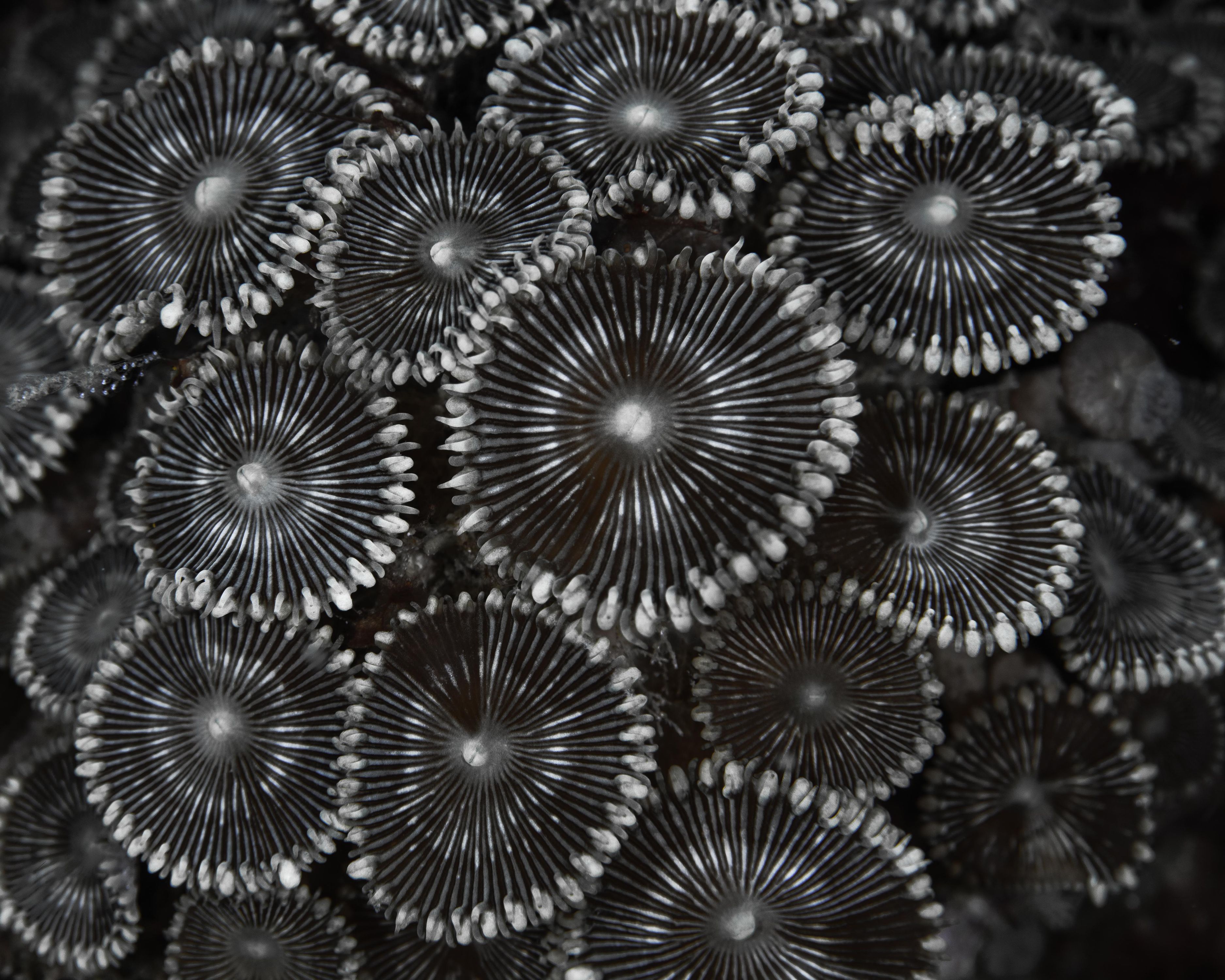 Enticing9 (1 of 1).jpg