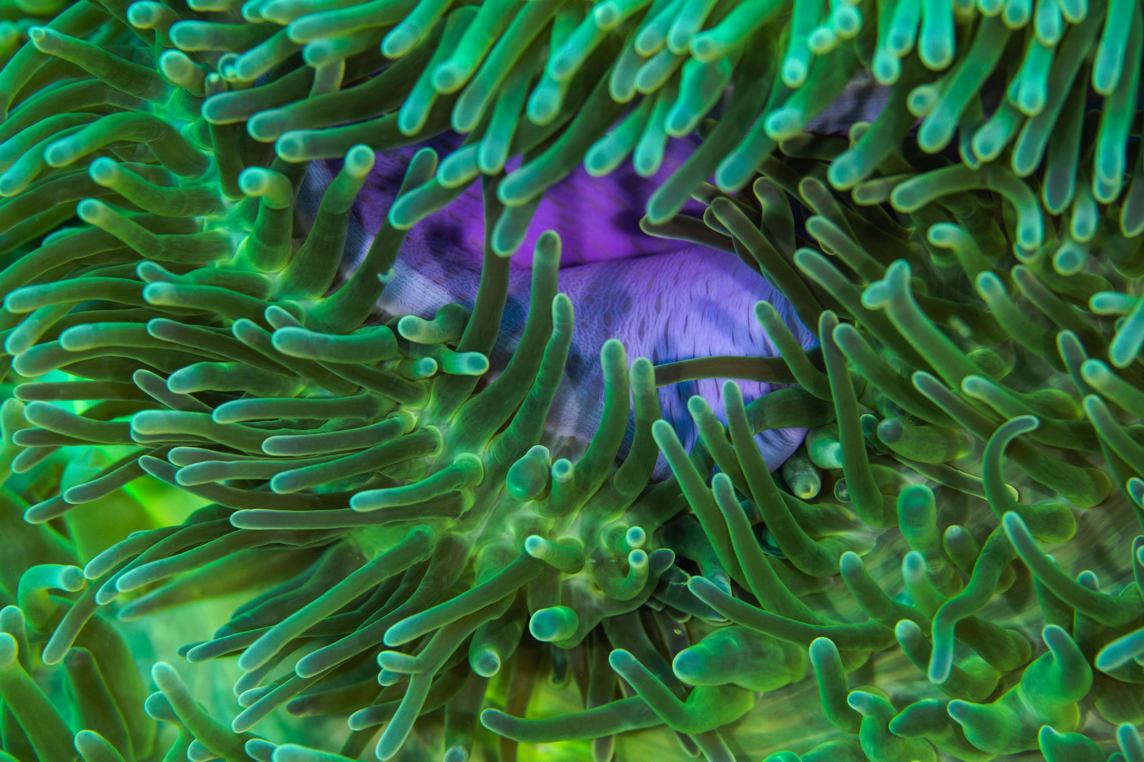 Secluded11 (1 of 1).jpg