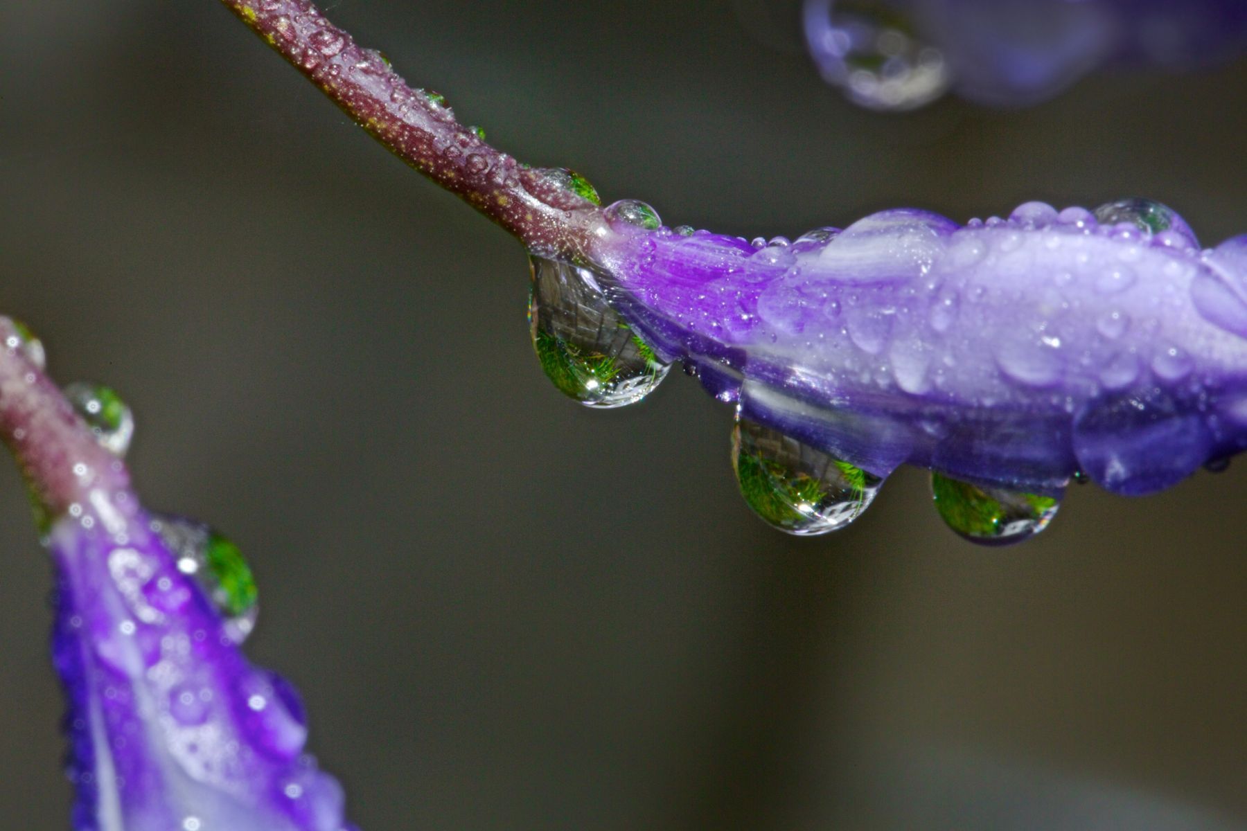 1in_the_abstract15_824