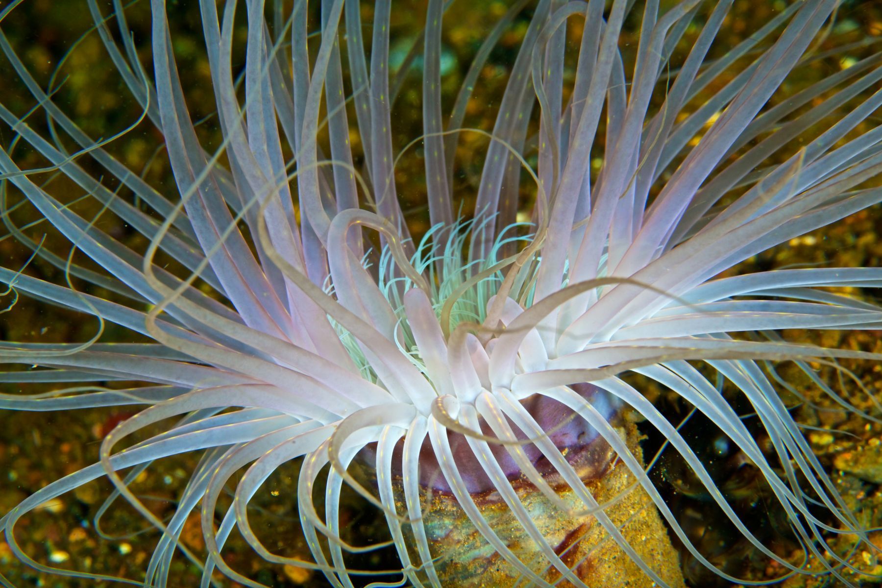 1abstractions_in_the_deep13_1048