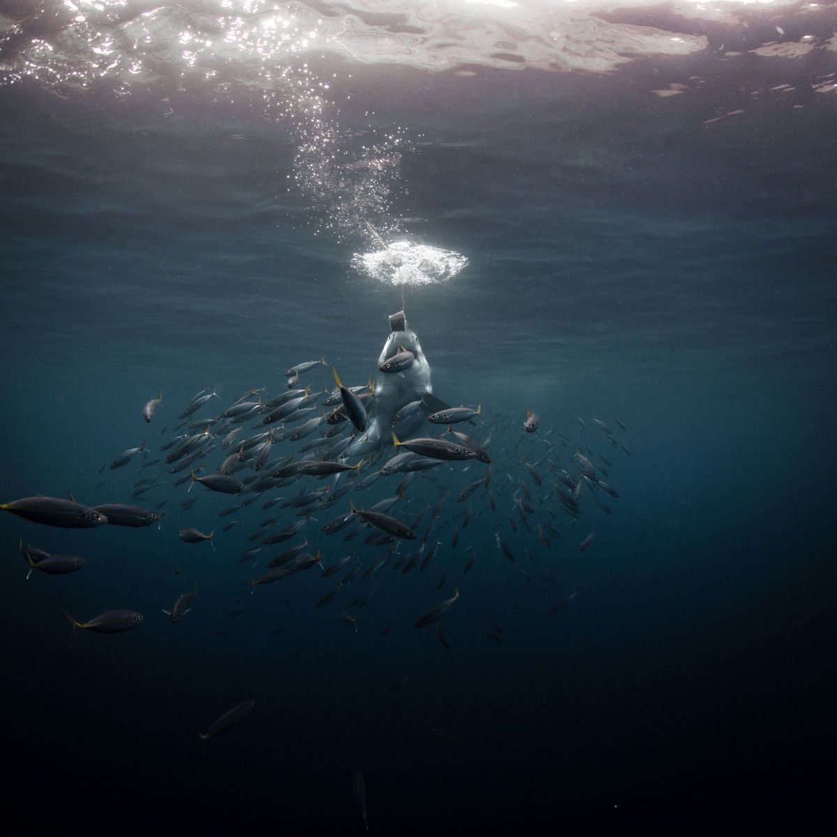 1mastermind3__1_of_1_