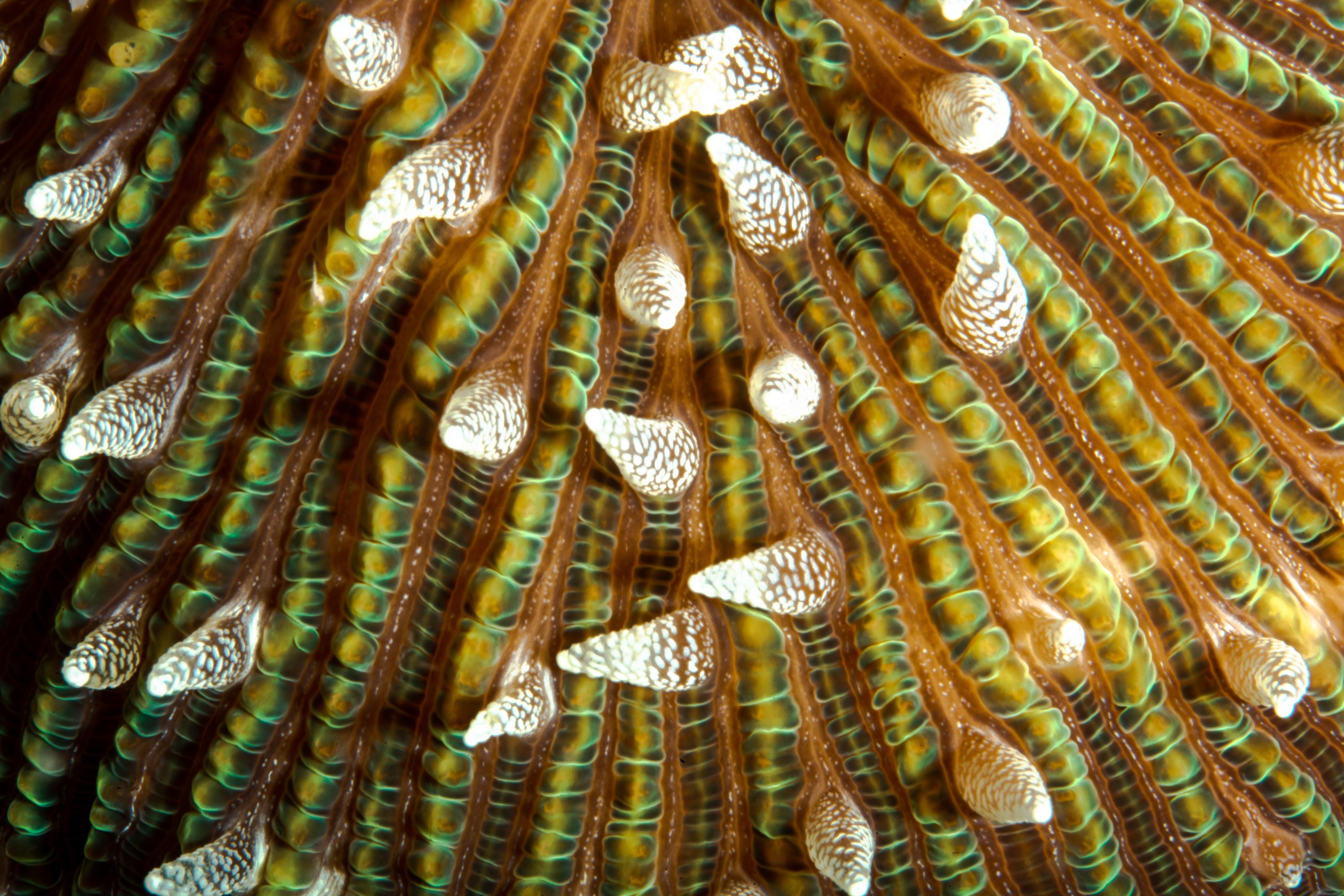 Secluded7 (1 of 1).jpg