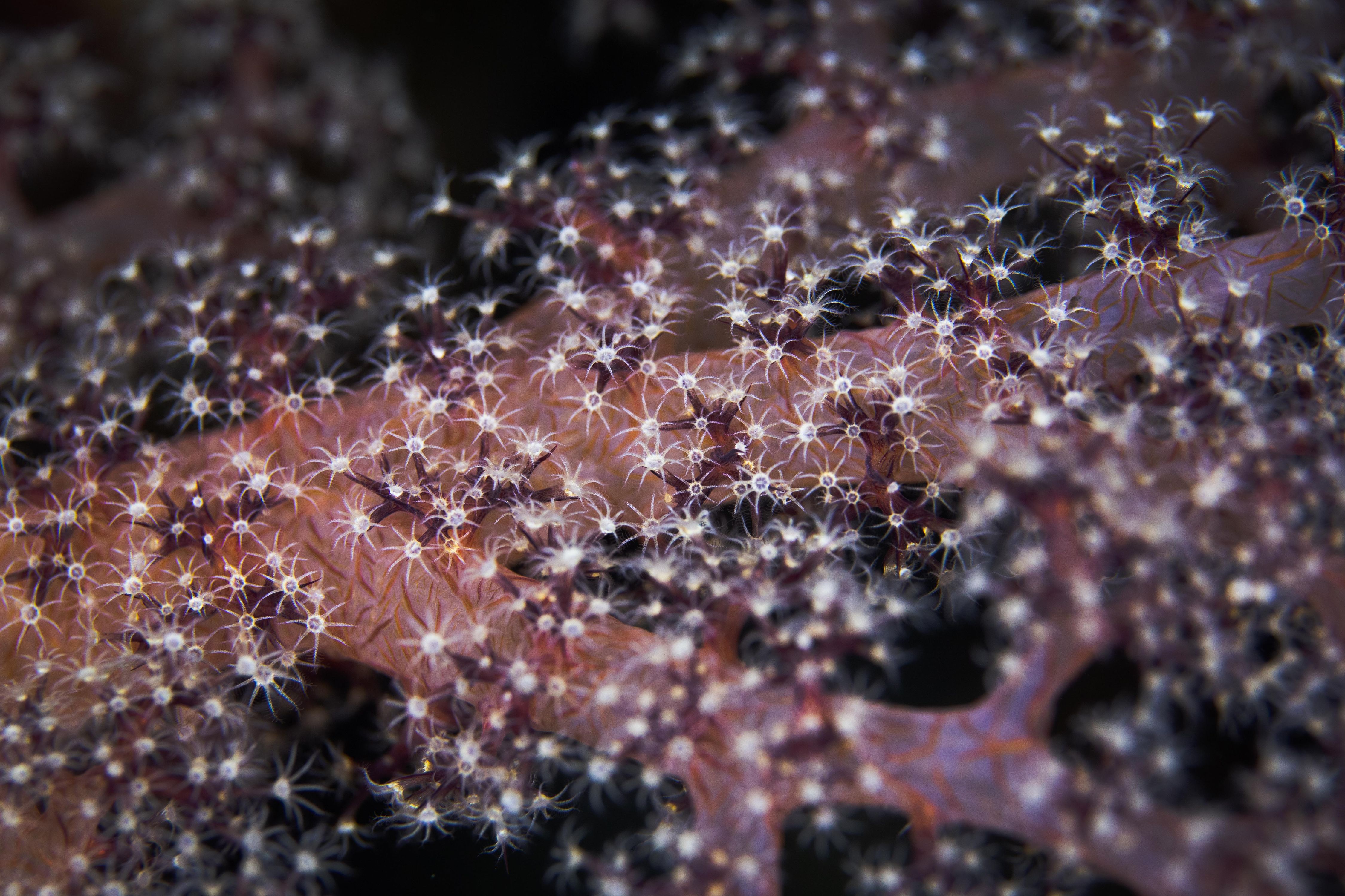 Secluded16 (1 of 1).jpg