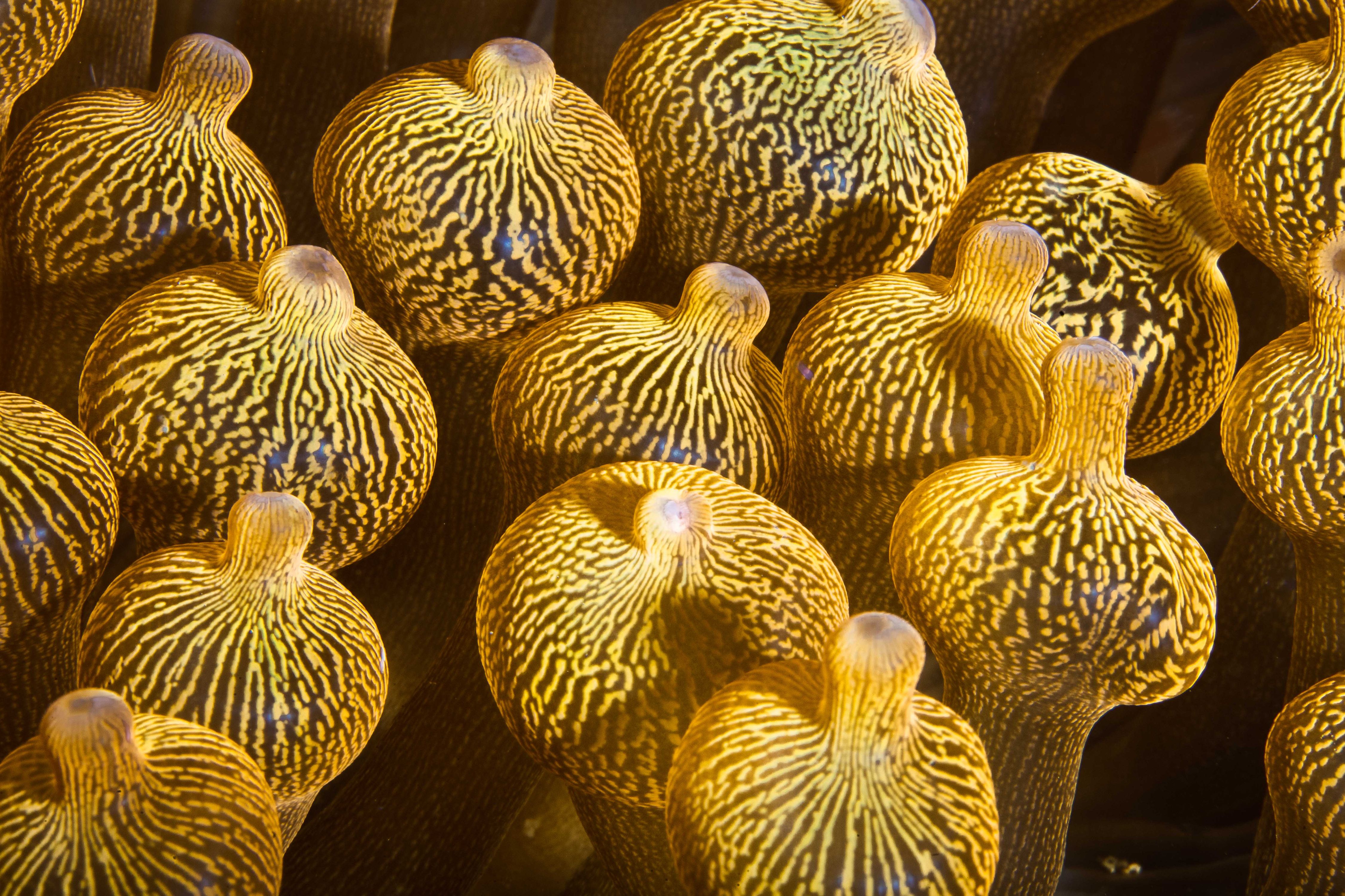 Secluded9 (1 of 1).jpg