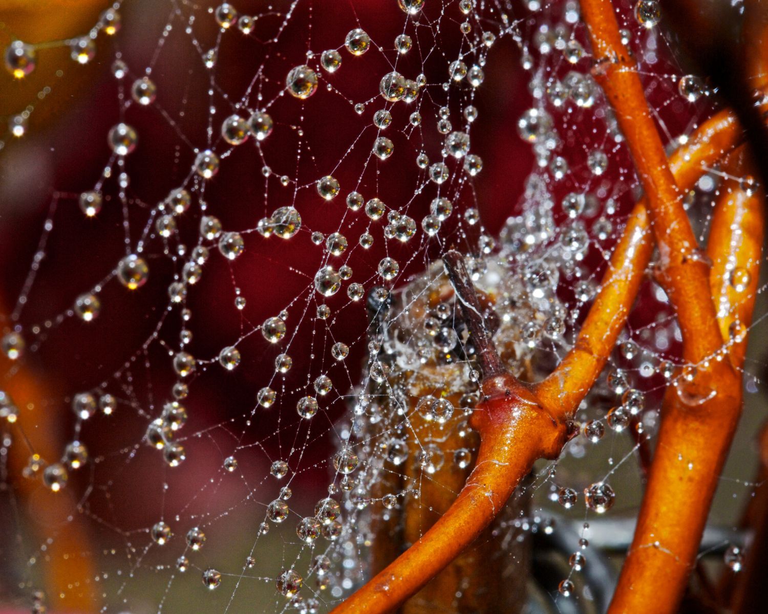 1in_the_abstract8_813