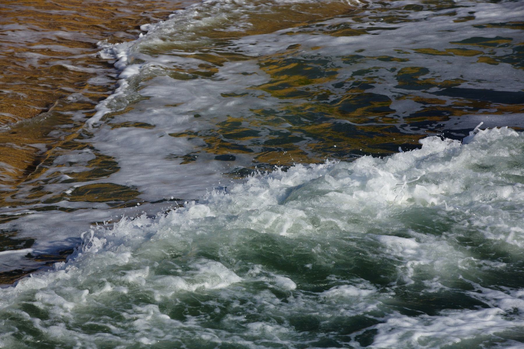 1temperamental11_1276