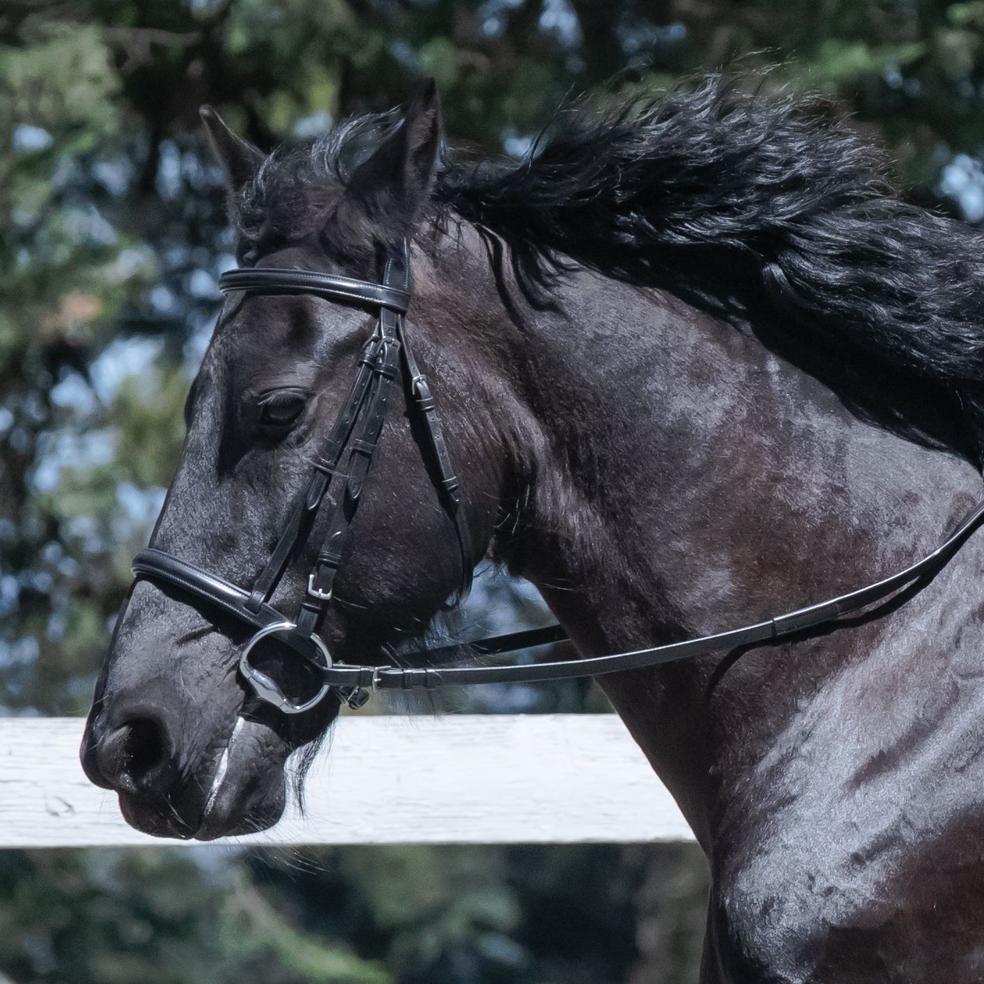 Wild Child9 (1 of 1).jpg