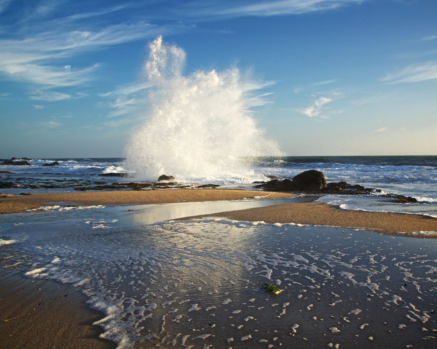 11-coastal_impressions13_868