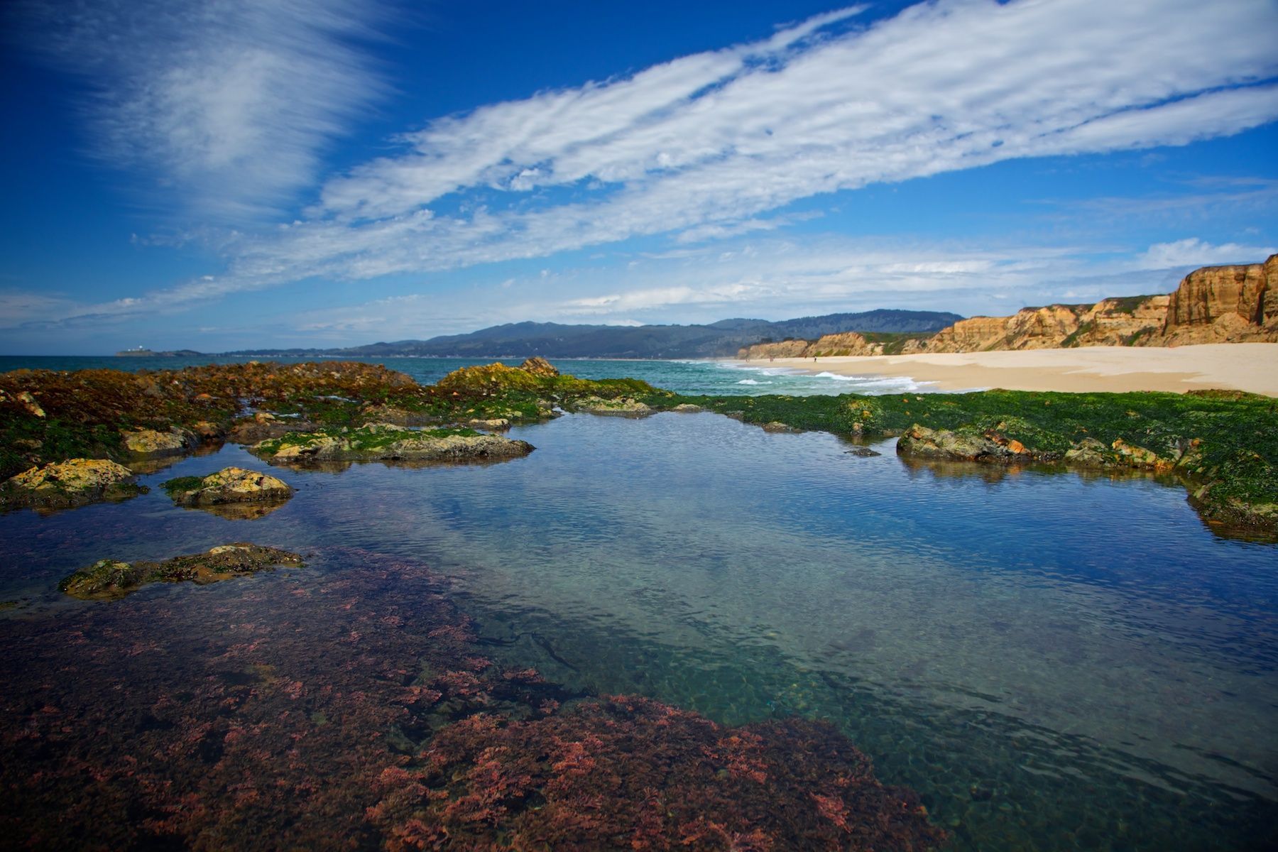 11-coastal_impressions11_866