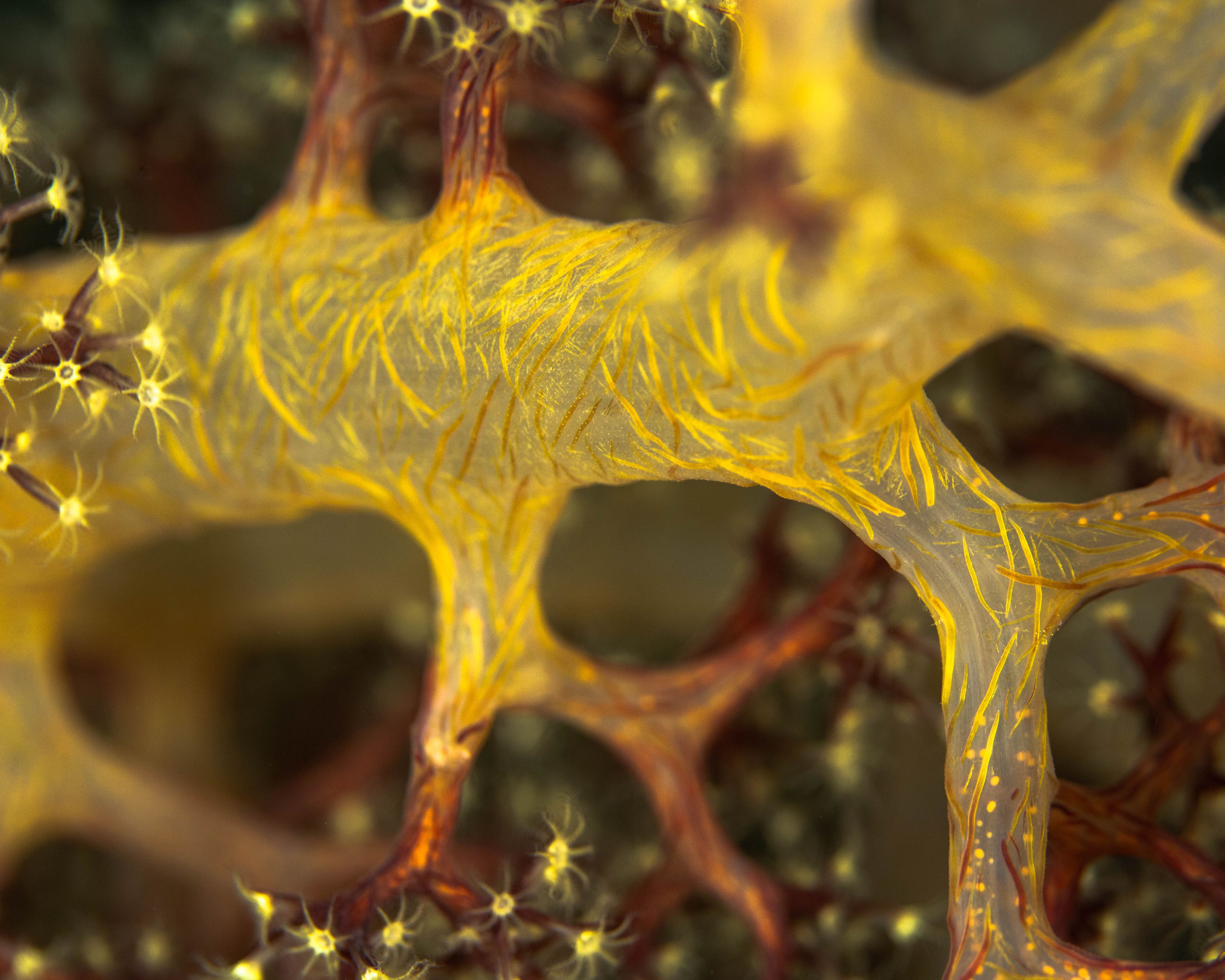 Secluded13 (1 of 1).jpg