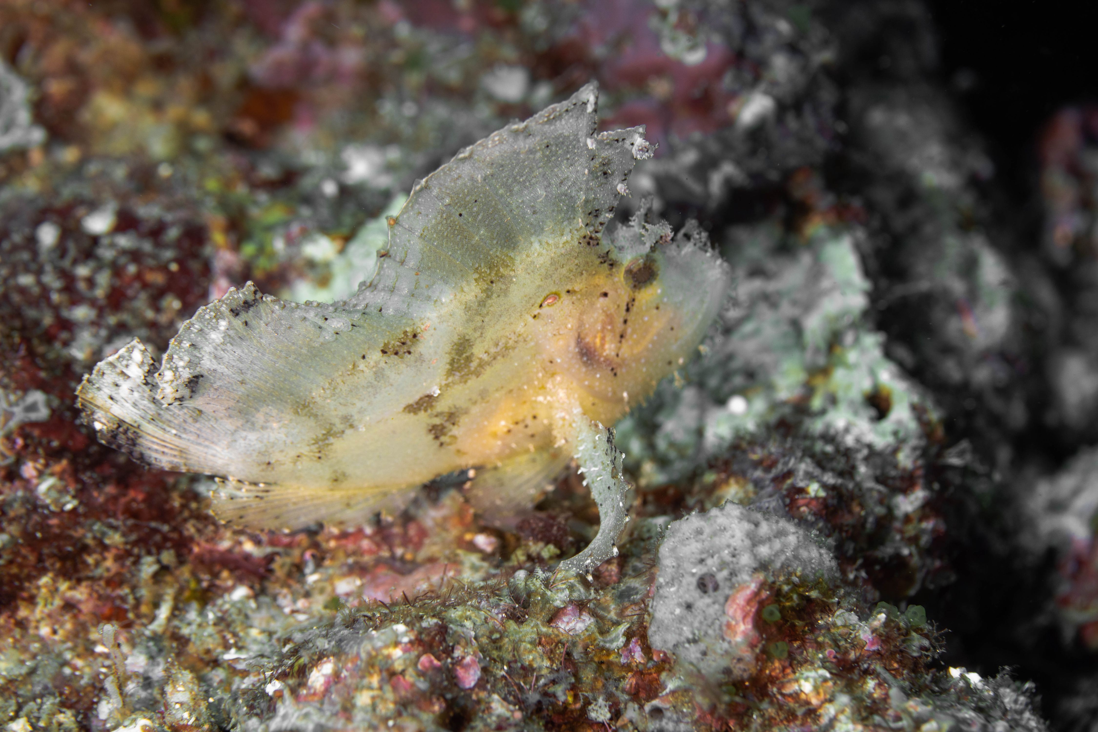 Curiosity7 (1 of 1).jpg