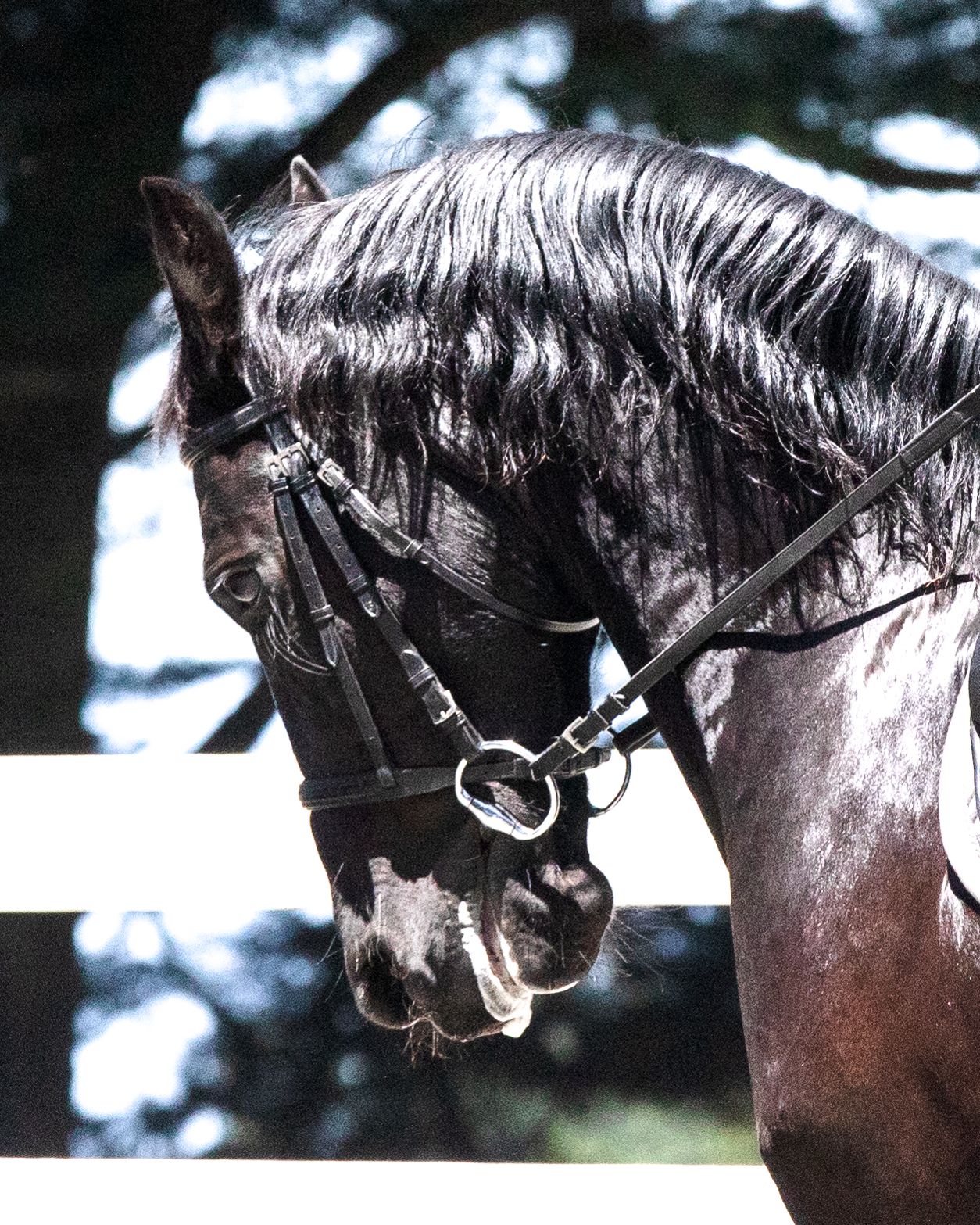 Wild Child15 (1 of 1).jpg