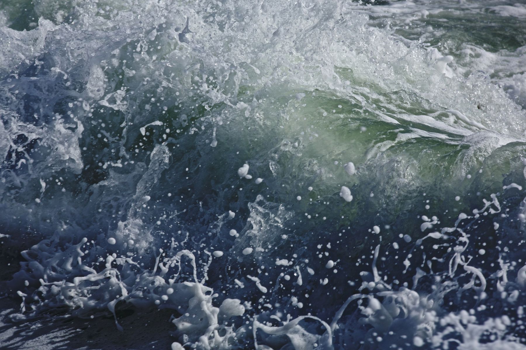 1temperamental14_1279