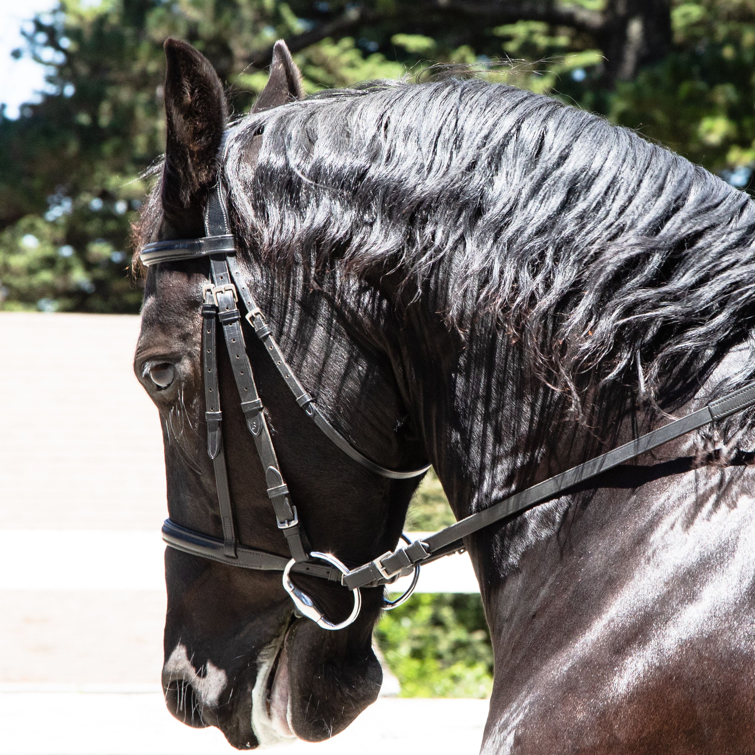 Wild Child17 (1 of 1).jpg