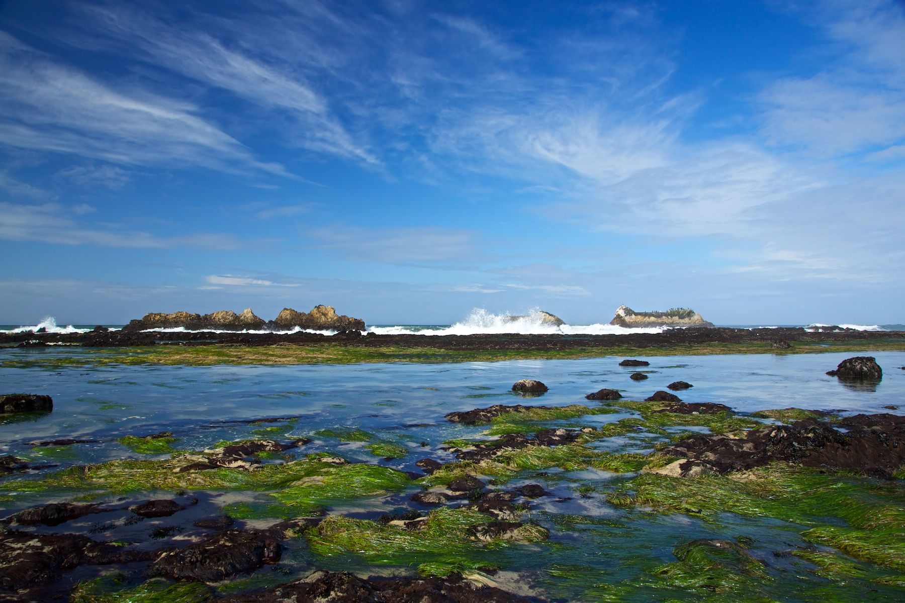 11-coastal_impressions14_869