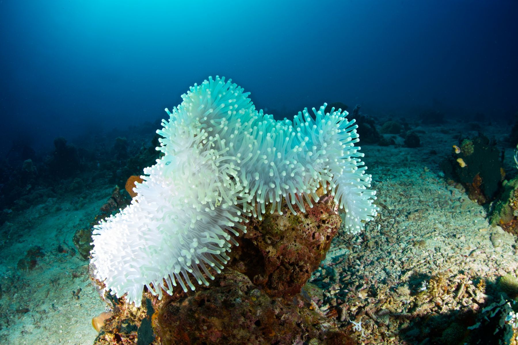 1scenes_from_below_series7_907