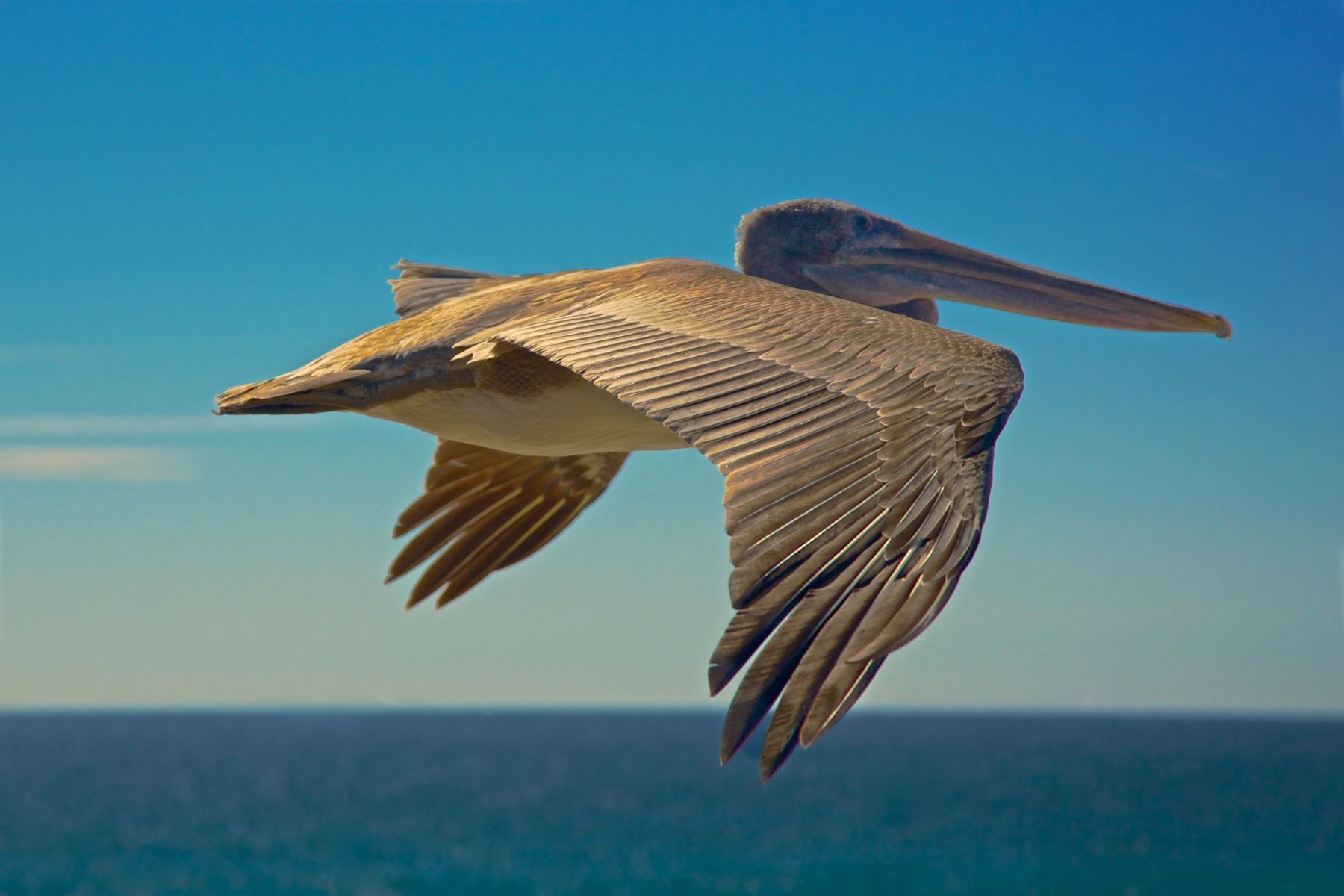 1life_on_the_coast_series8_1102