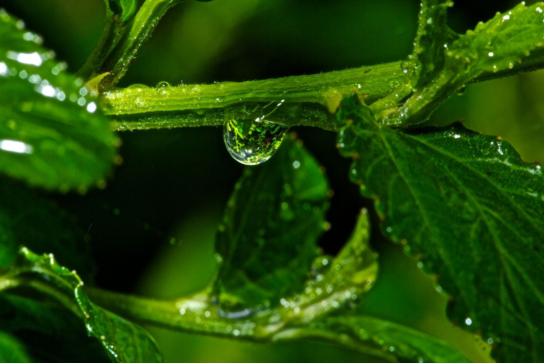 1in_the_abstract7_812