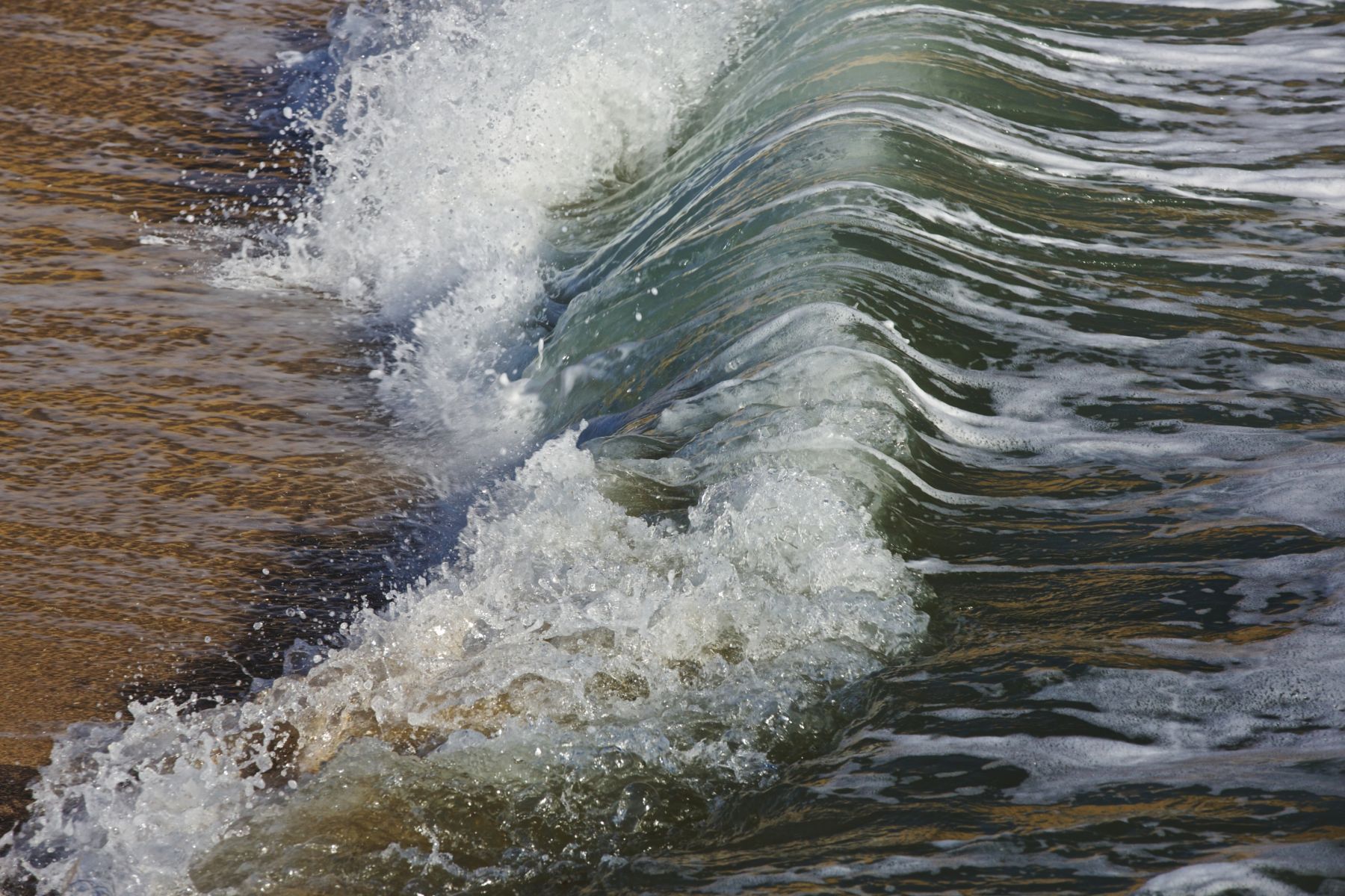 1temperamental12_1277