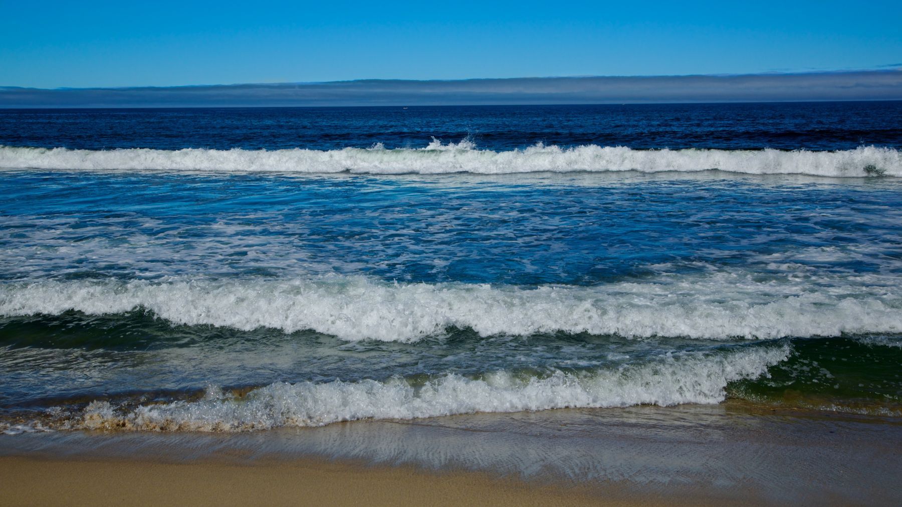 1in_the_moment7_1177