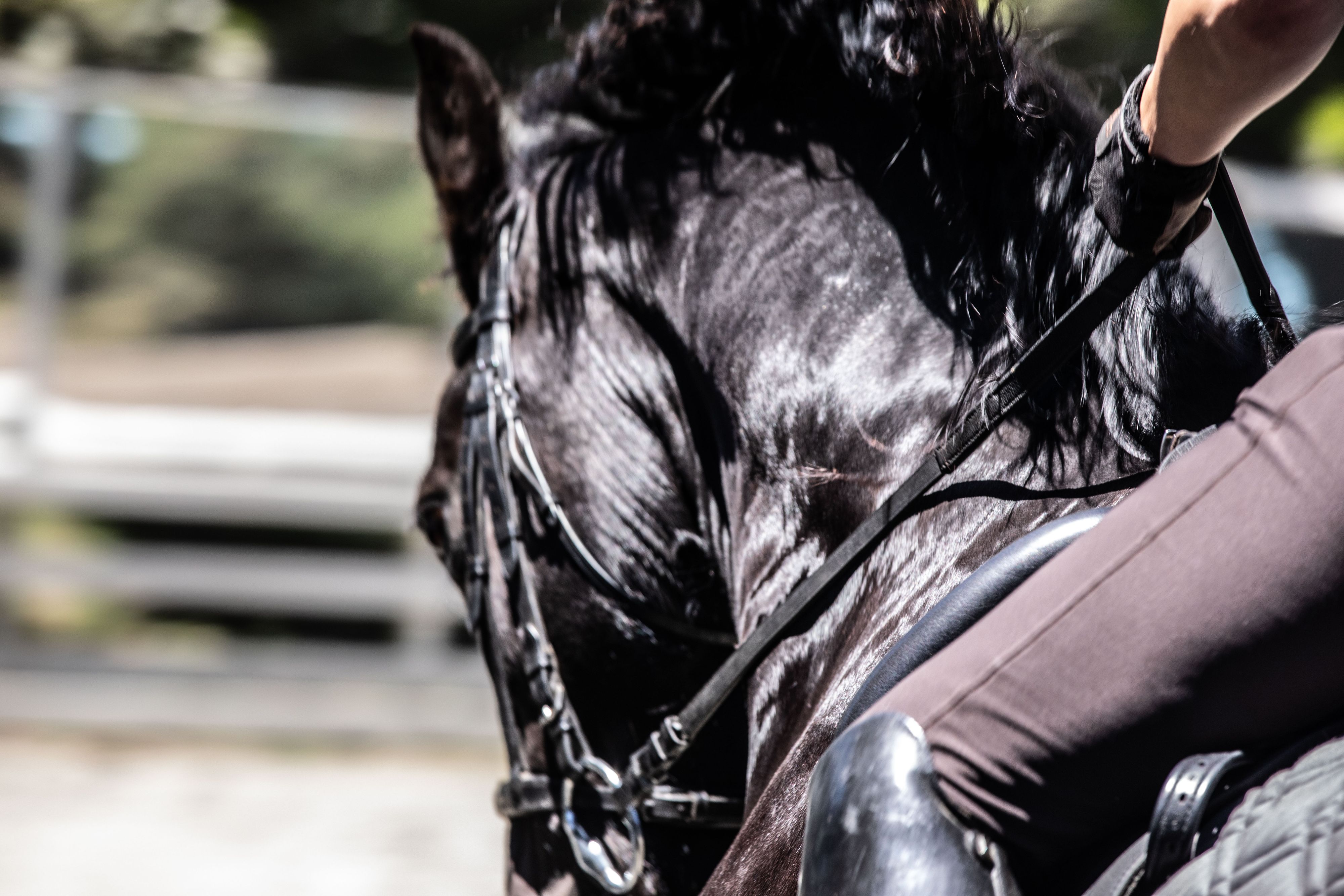 Wild Child8 (1 of 1).jpg