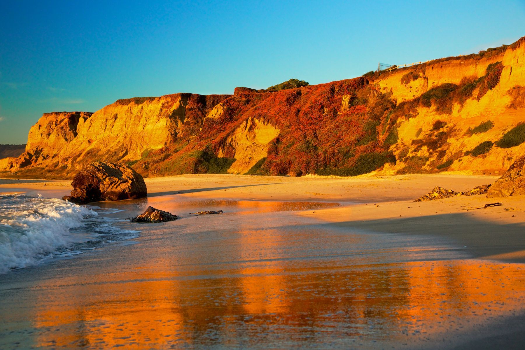 1pacific_glow12_1091