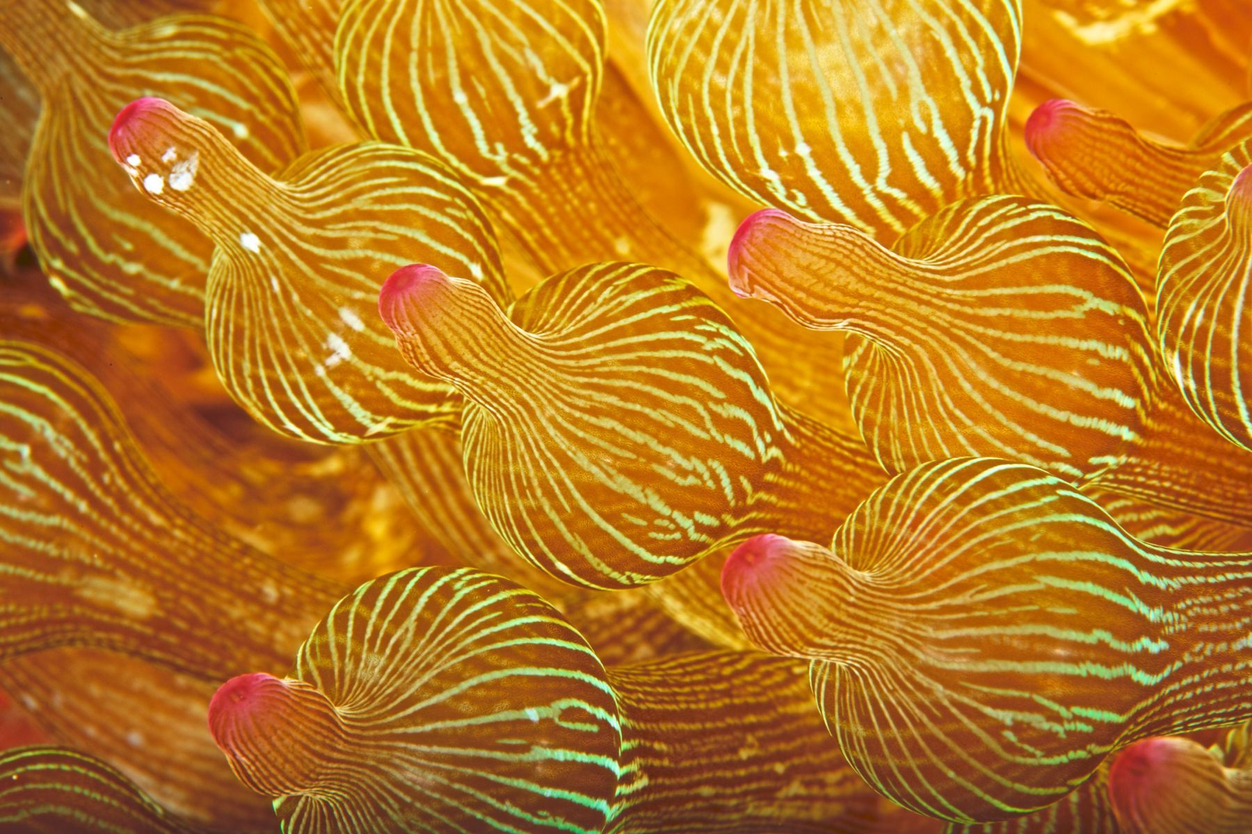 1abstractions_in_the_deep10_985