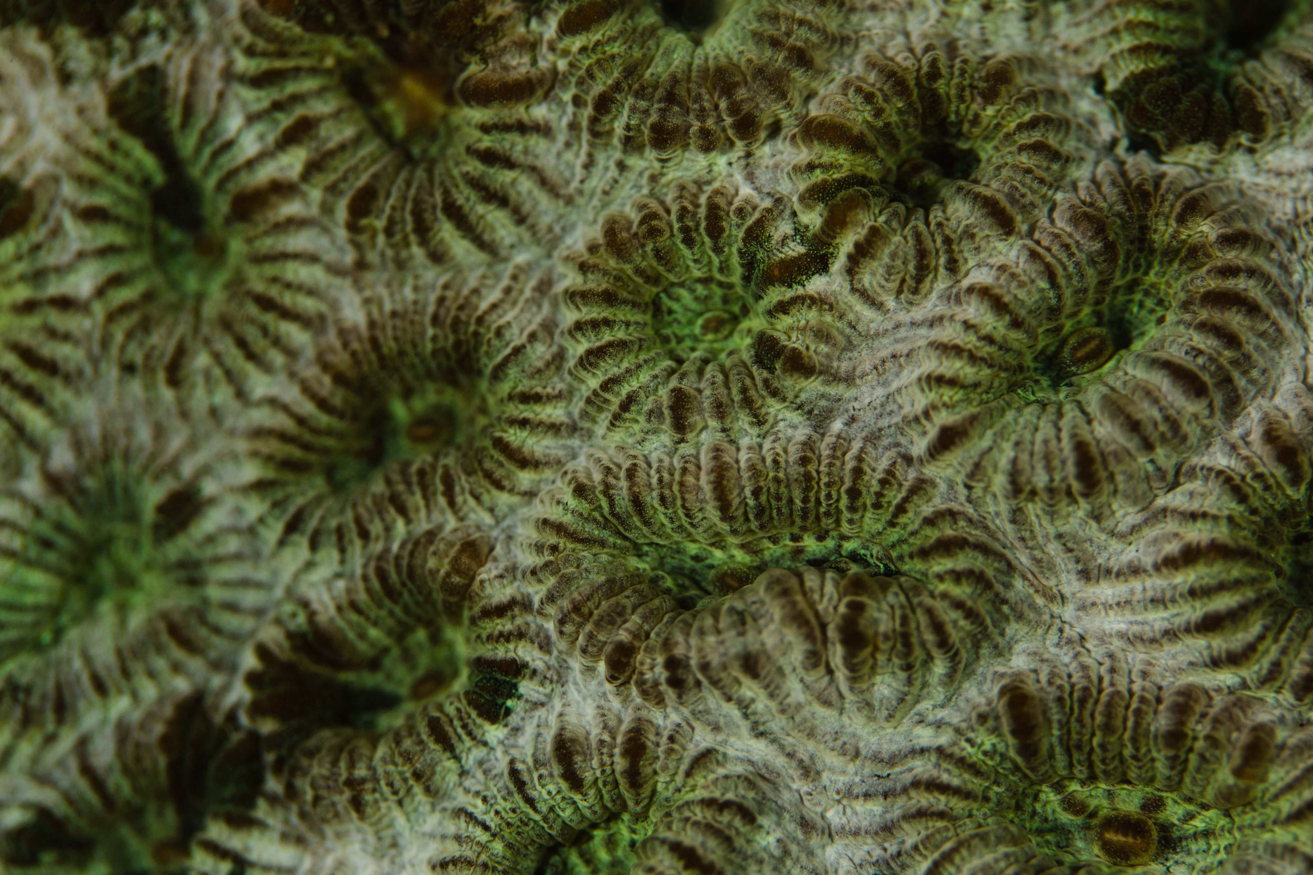 Secluded12 (1 of 1).jpg