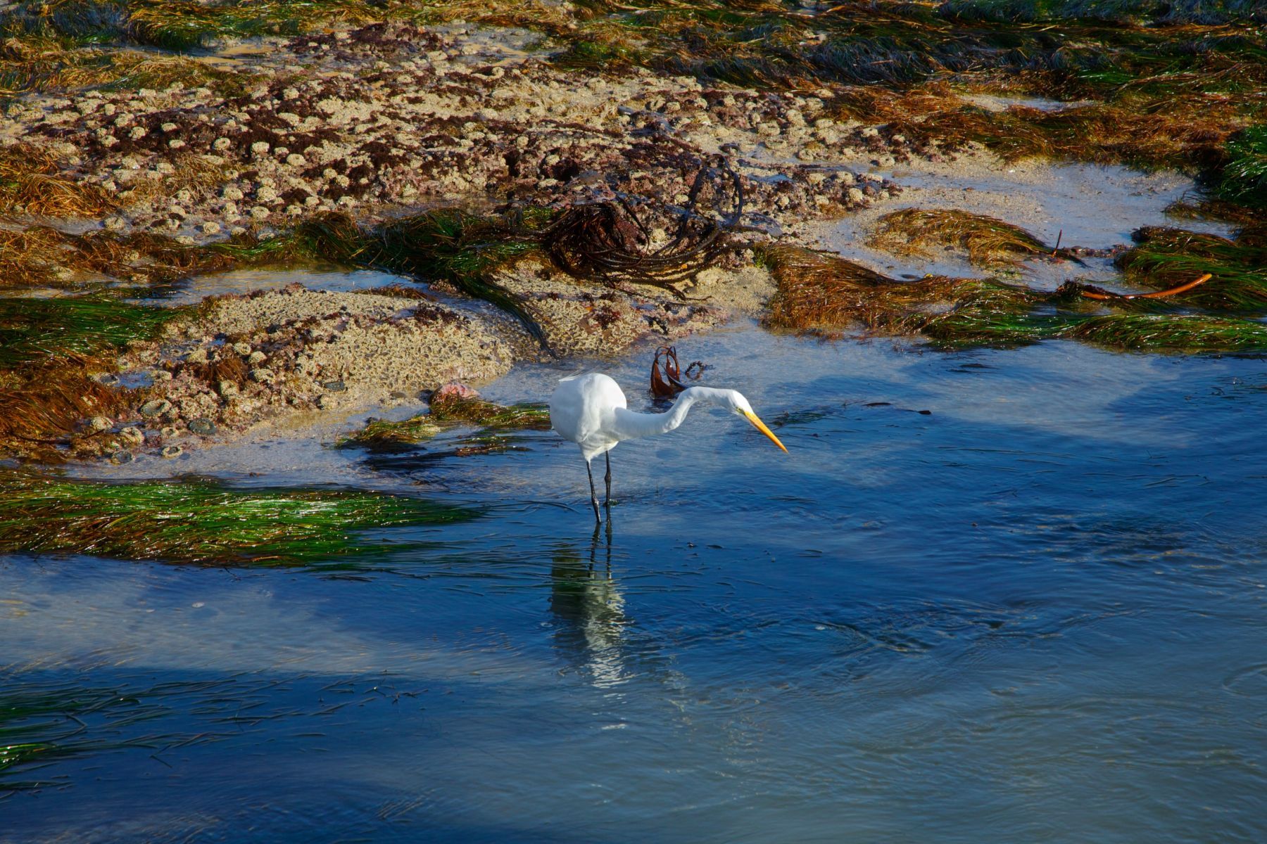 1life_on_the_coast_series14_1108