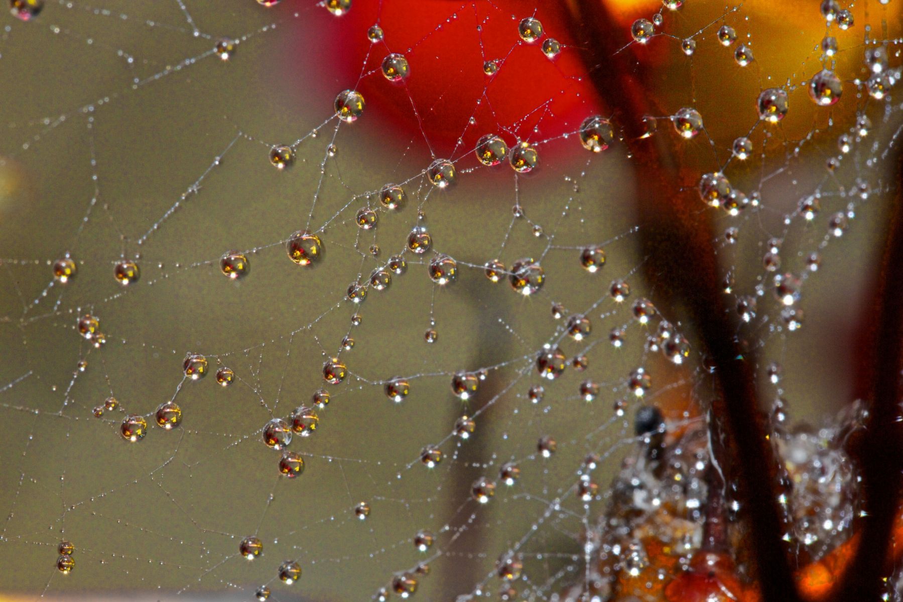 1in_the_abstract10_815