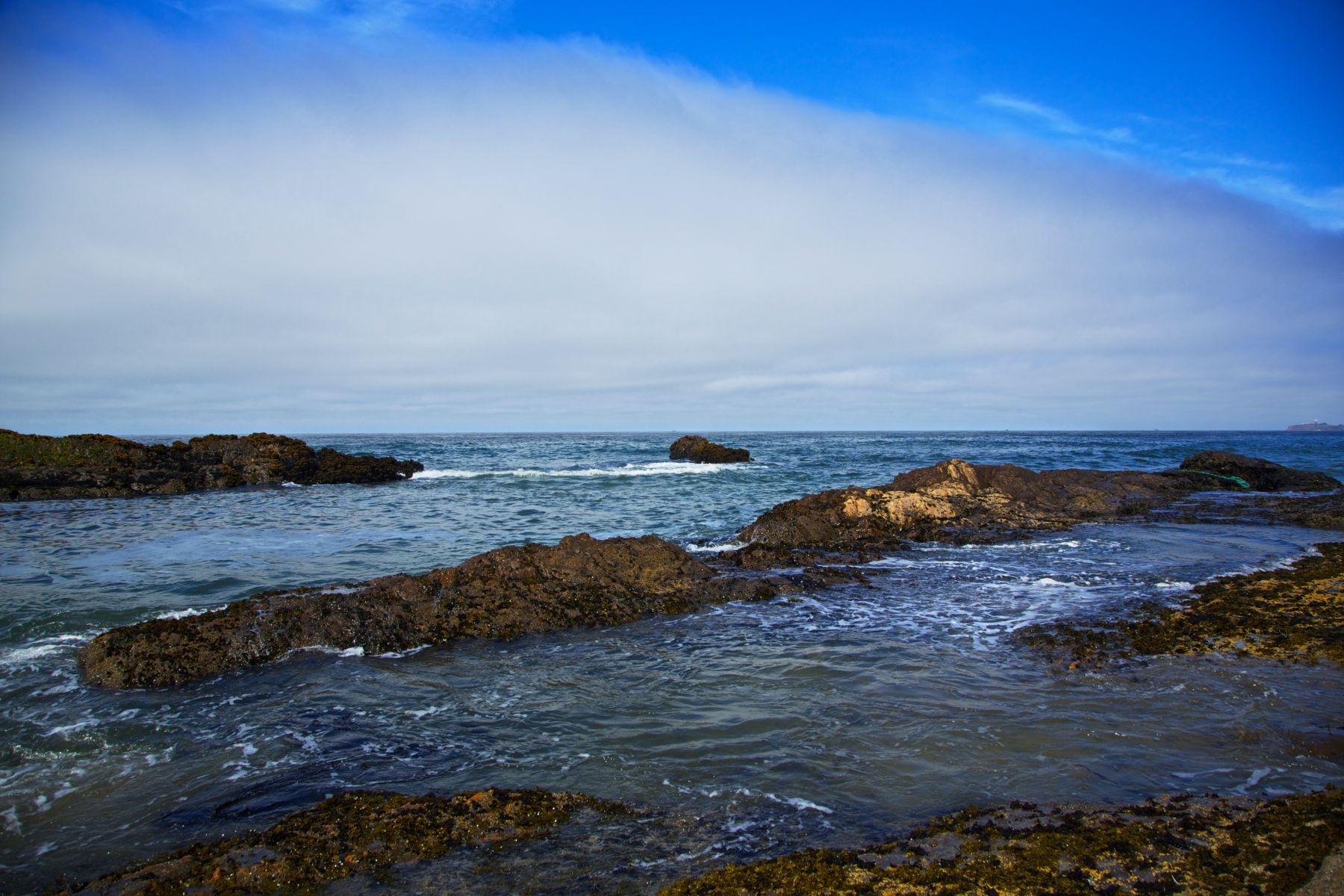 1life_on_the_coast_series11_1105