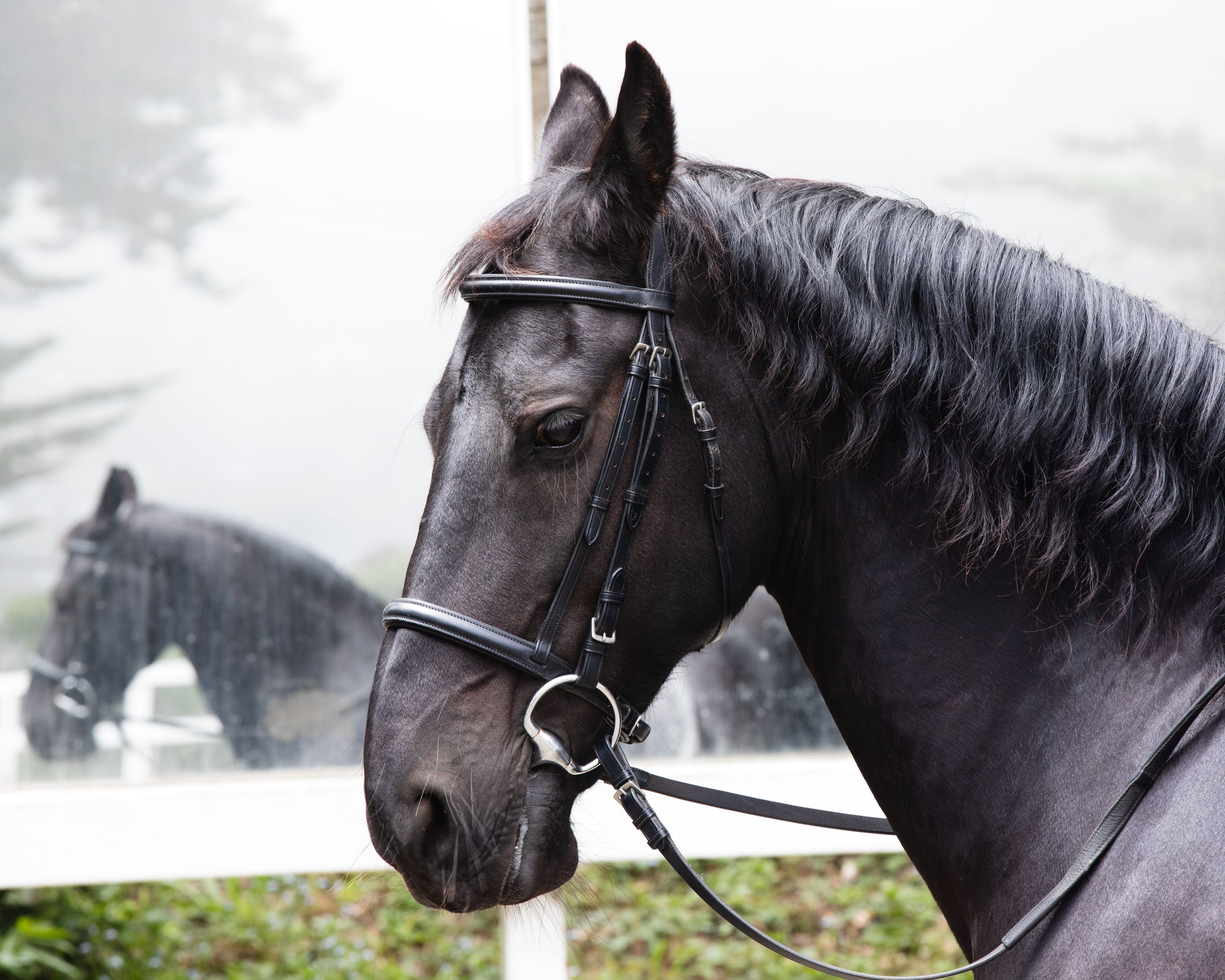 Wild Child18 (1 of 1).jpg