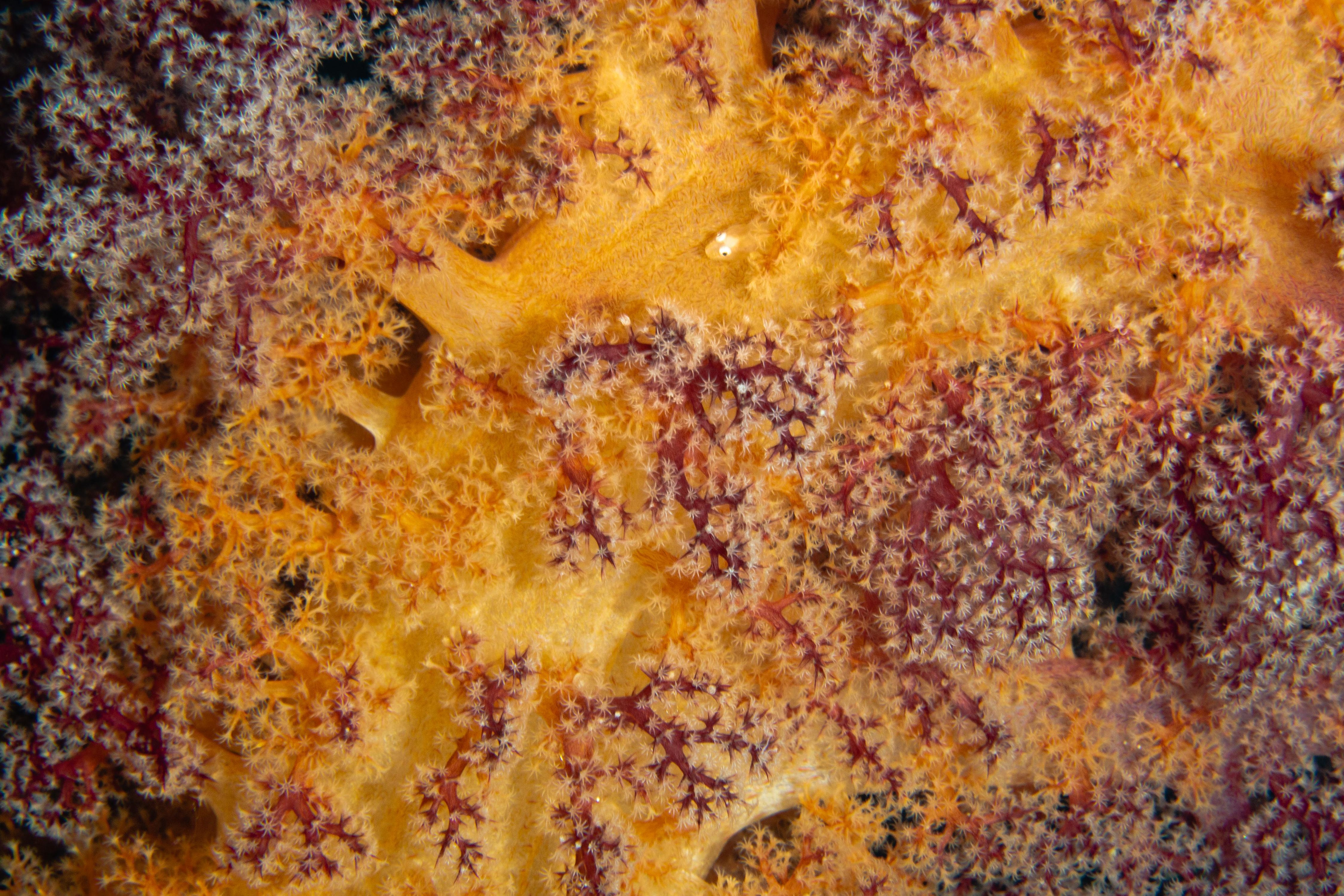 Curiosity14 (1 of 1).jpg