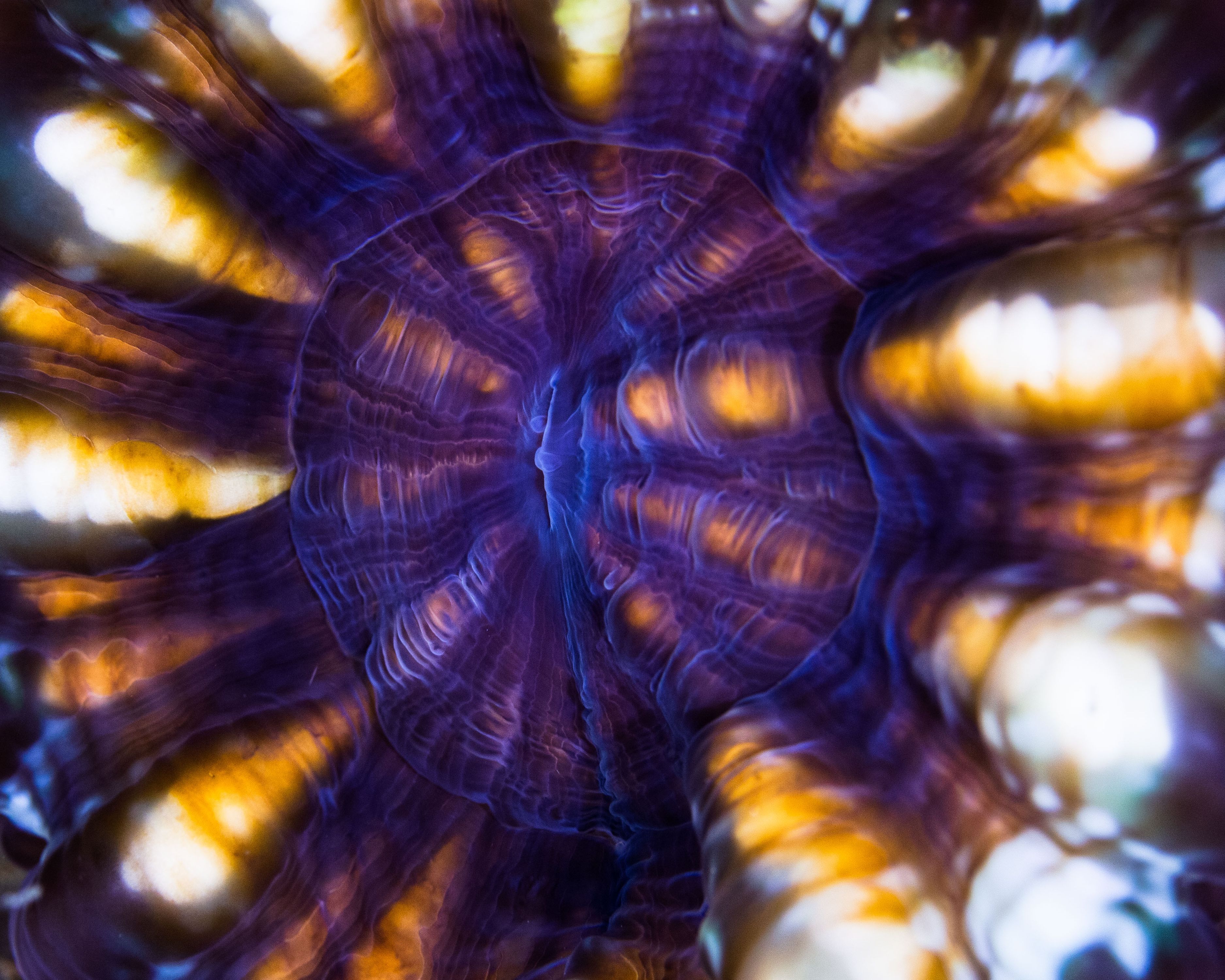 Secluded18 (1 of 1).jpg