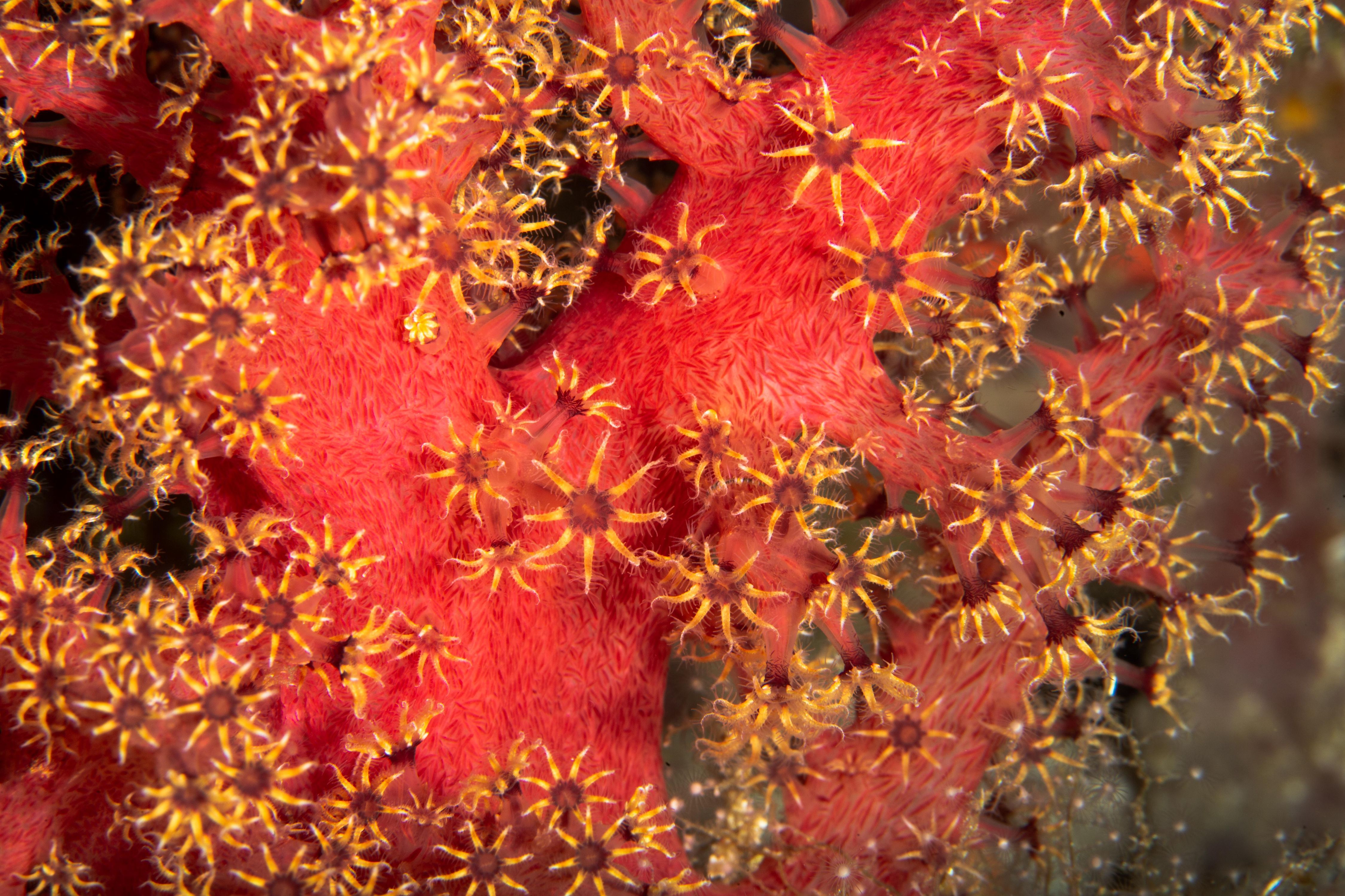 Secluded20 (1 of 1).jpg