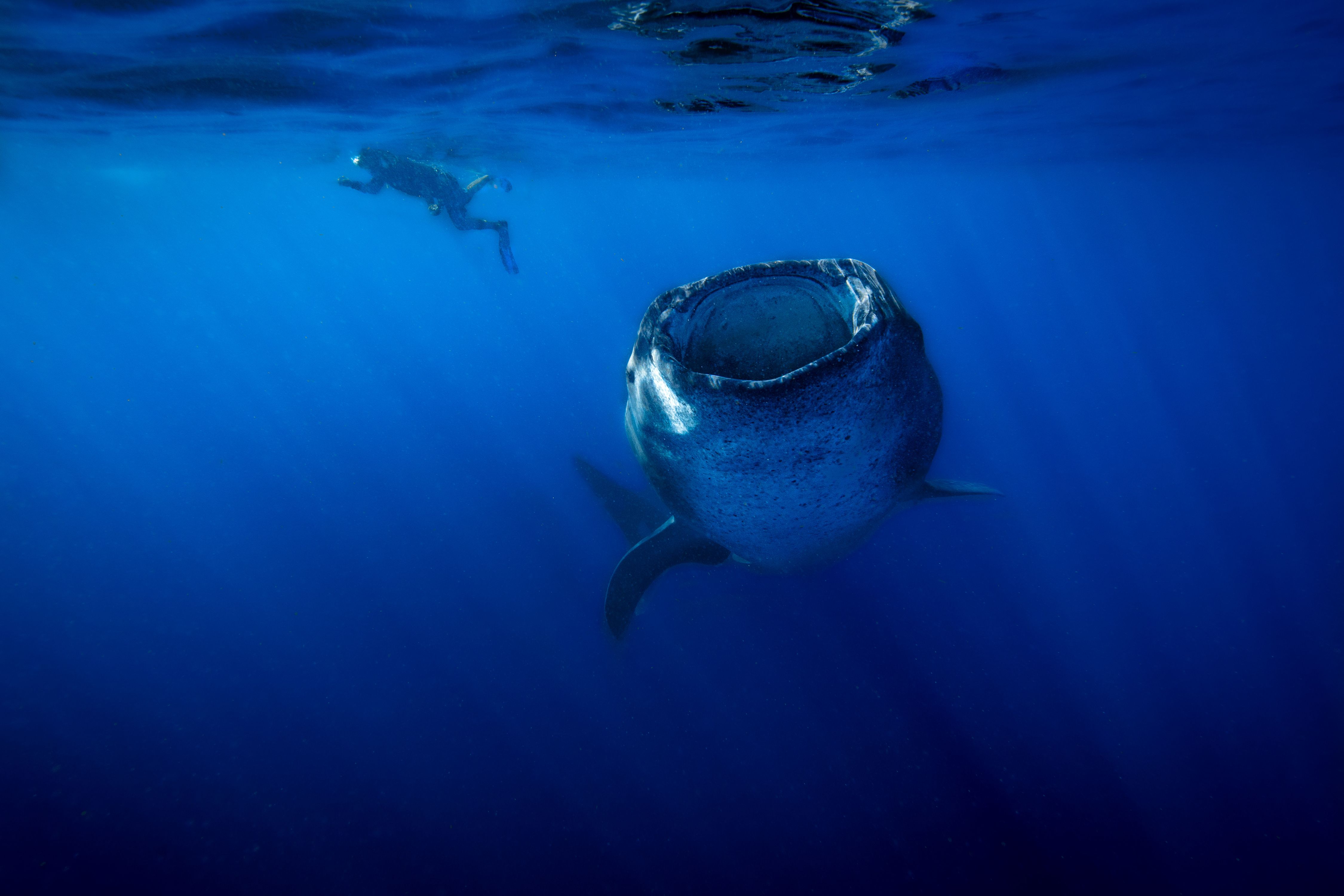 Larger than Life21 (1 of 1).jpg