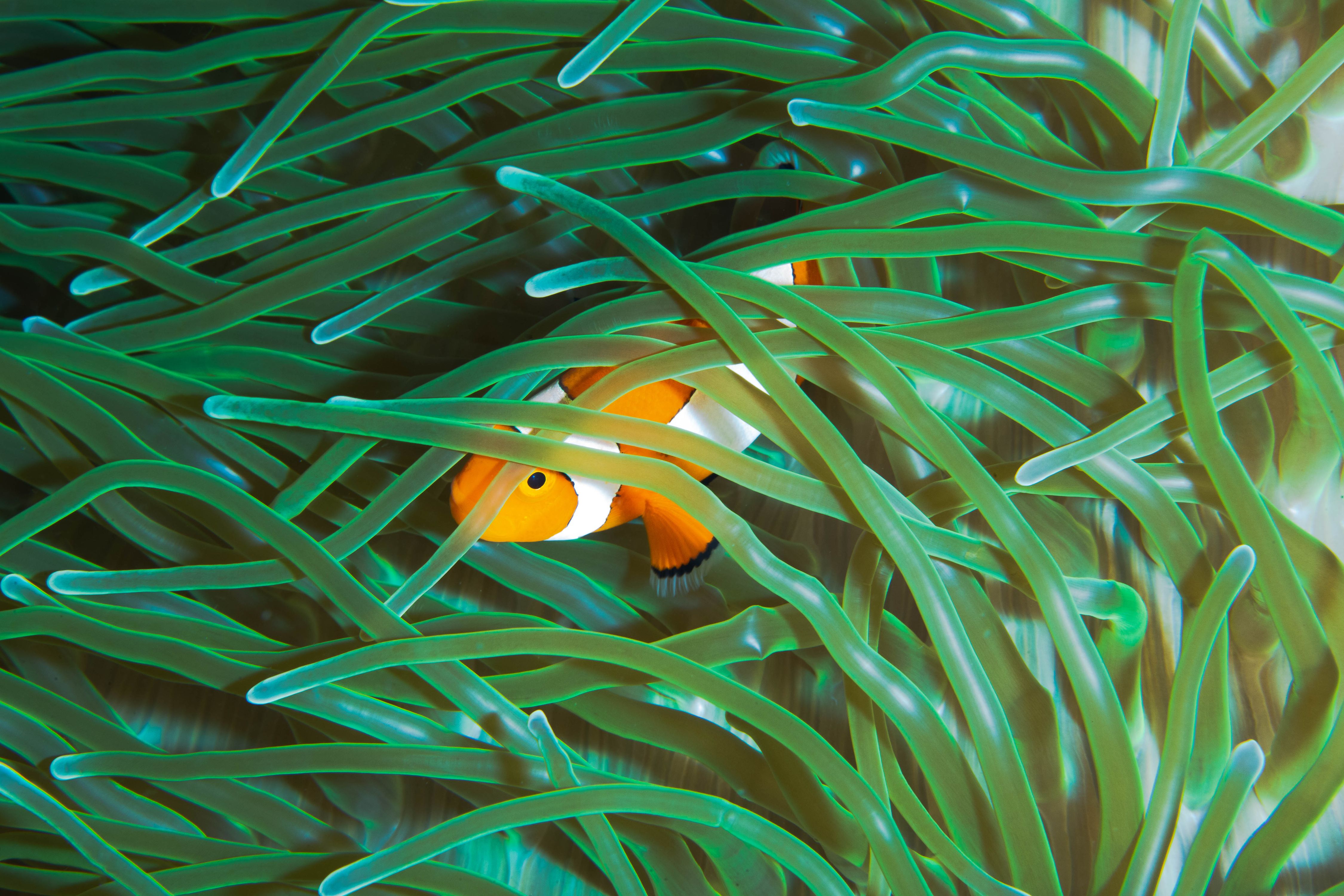 Curiosity17 (1 of 1).jpg